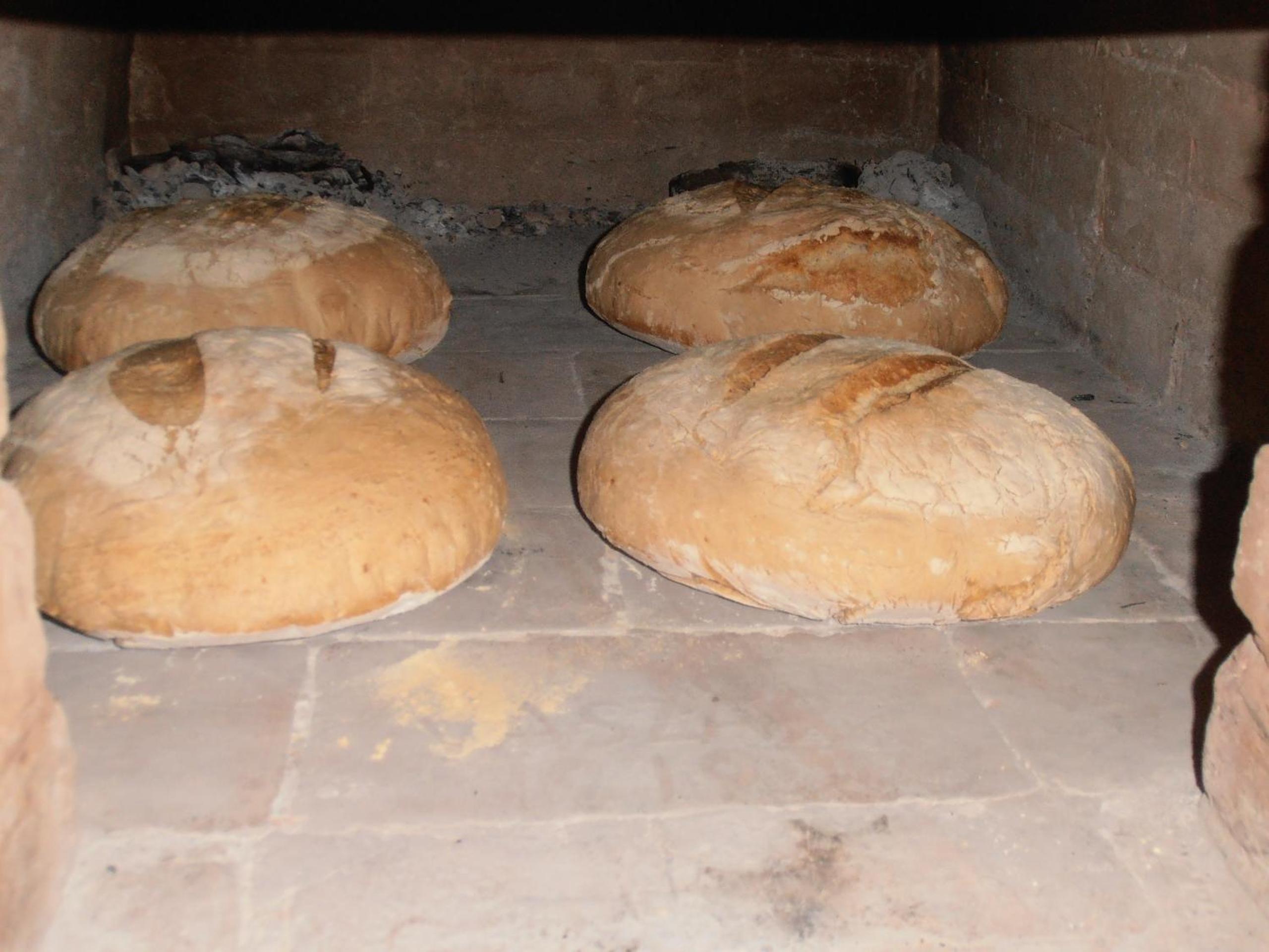 Photo 32