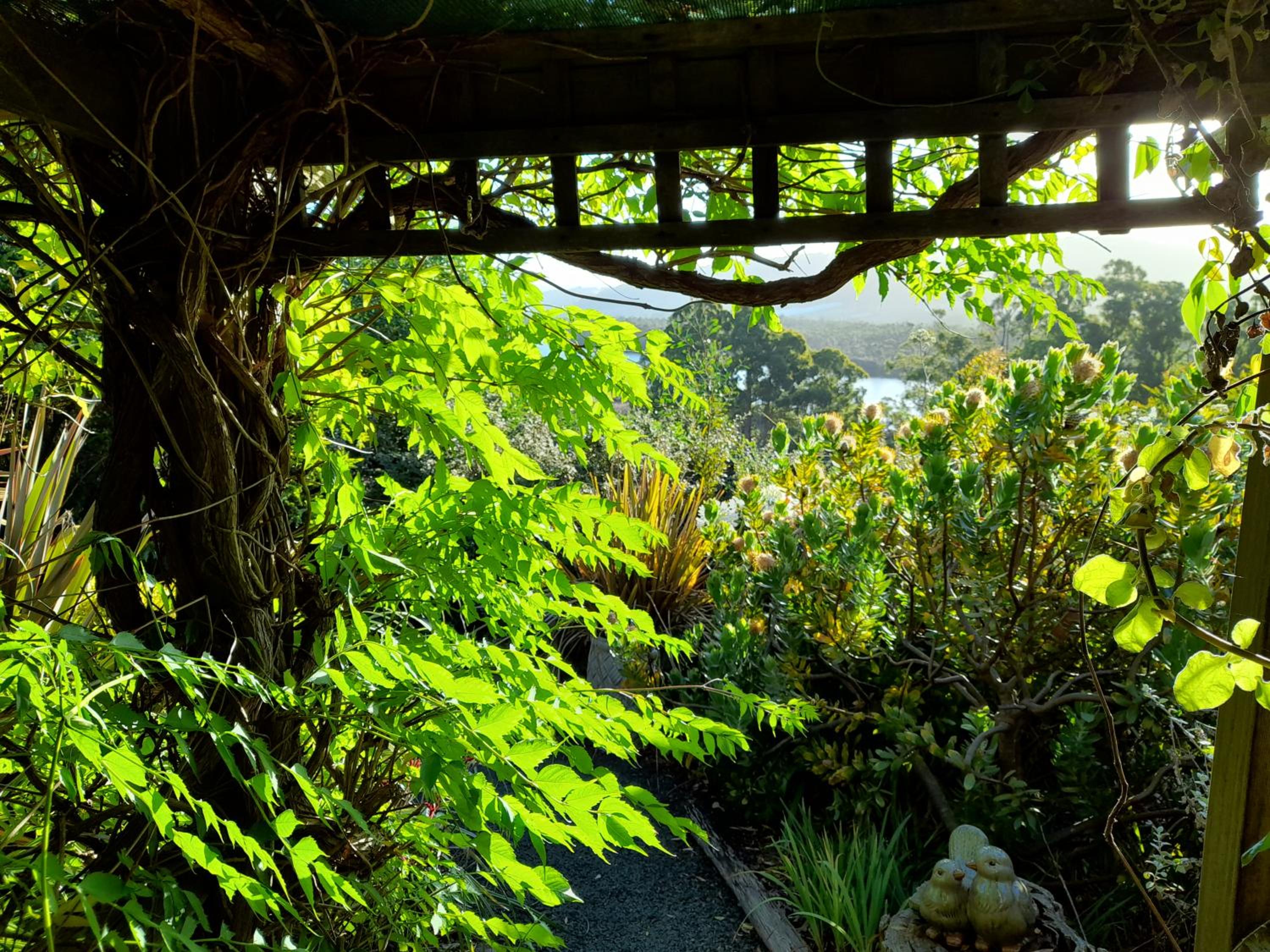 Hillside Bed and Breakfast