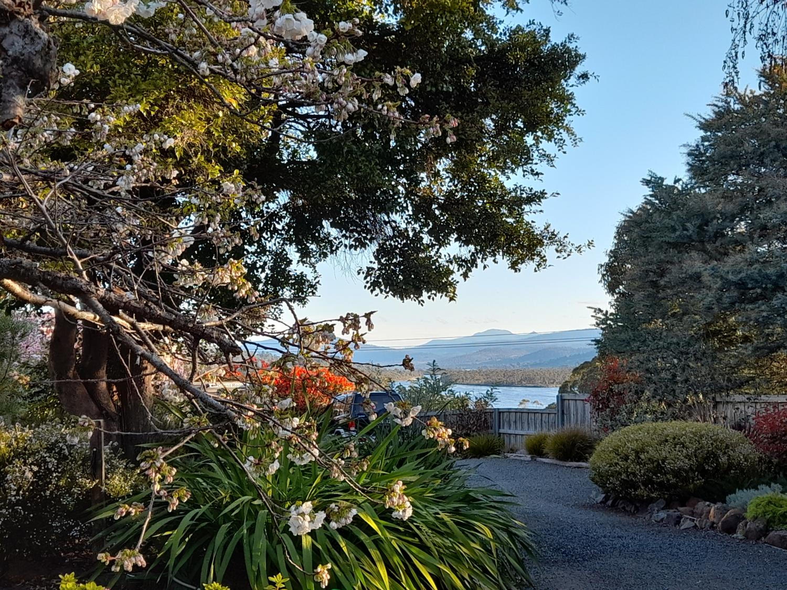 Hillside Bed and Breakfast