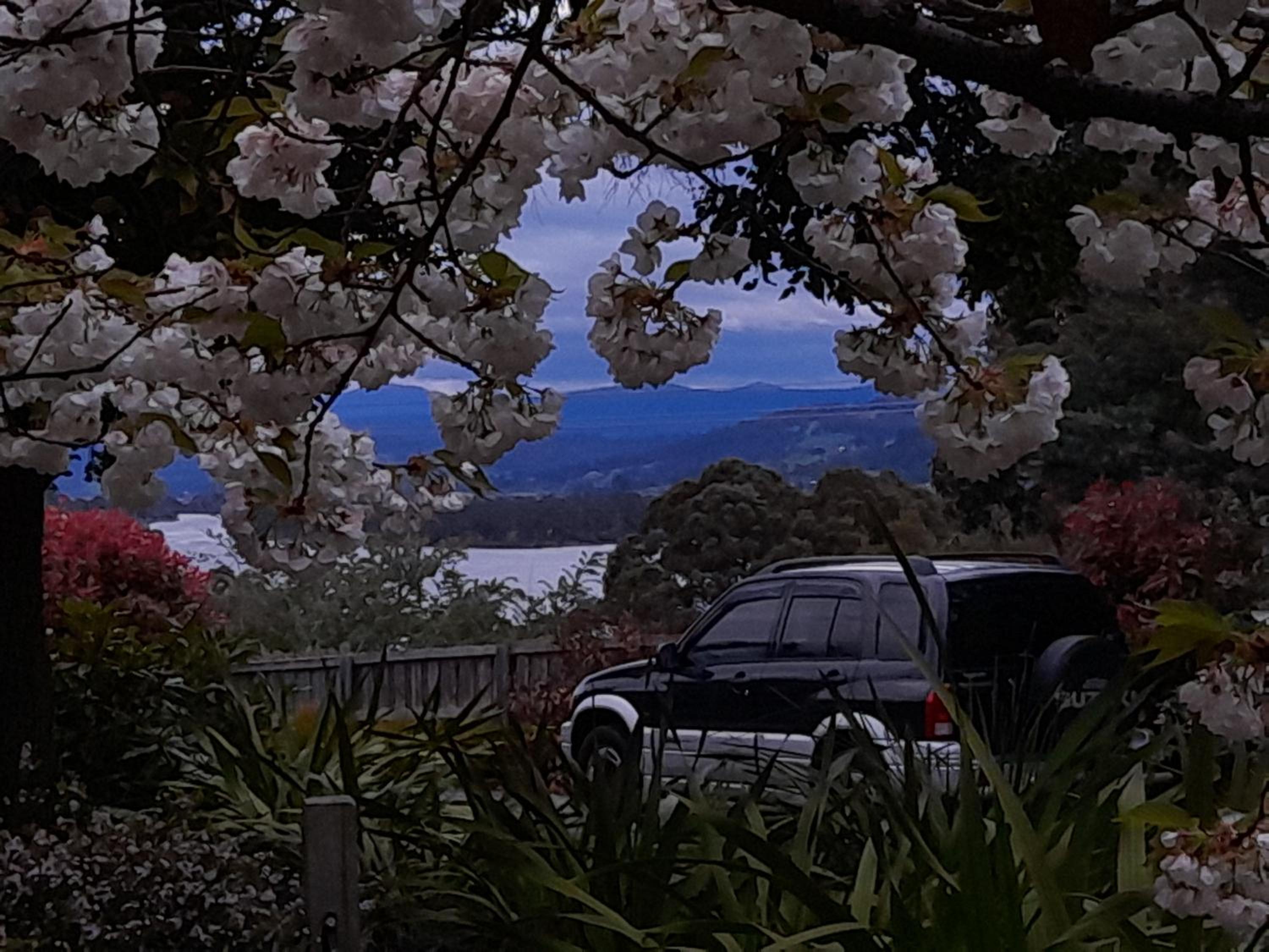 Hillside Bed and Breakfast