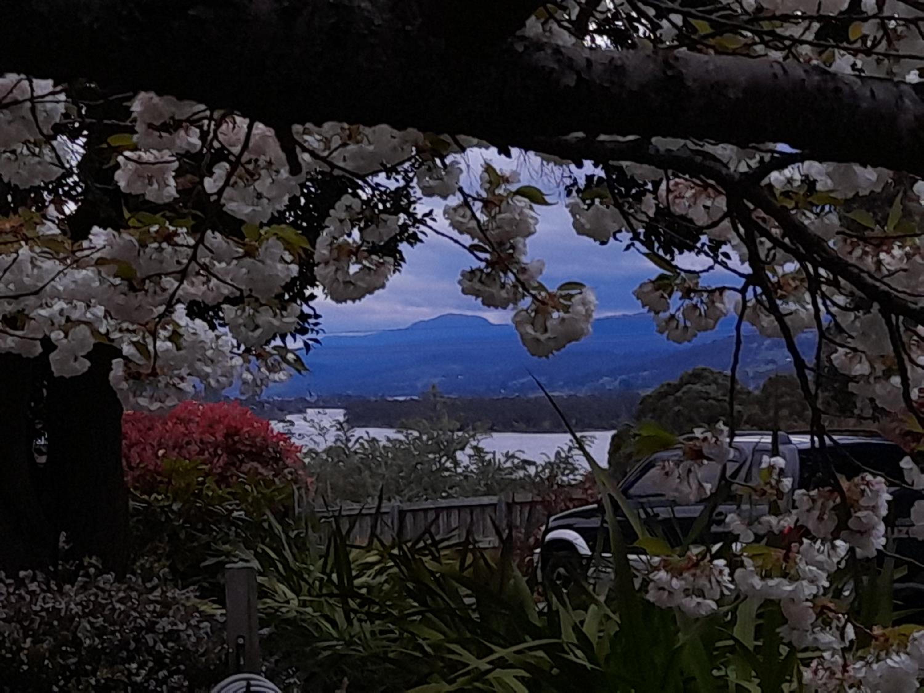 Hillside Bed and Breakfast