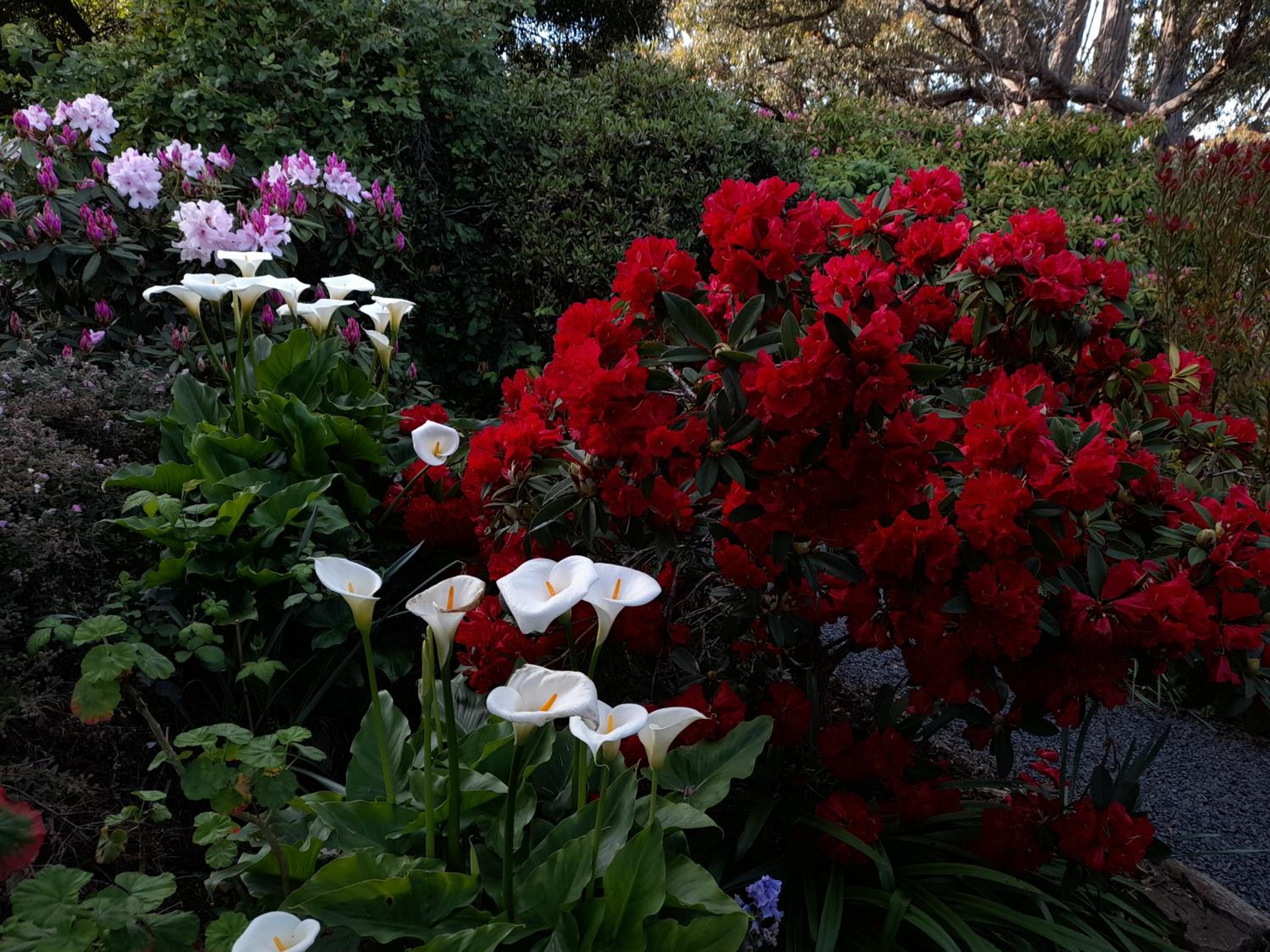 Hillside Bed and Breakfast