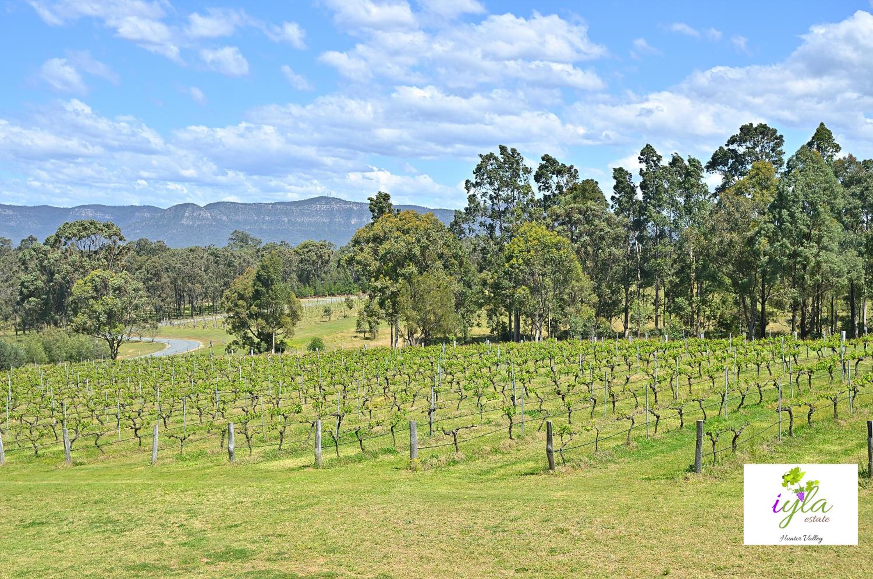 iyla Estate