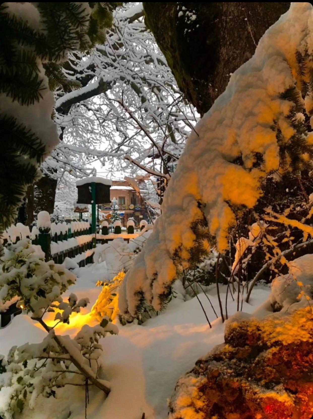 Asimina Guesthouse, Eptalofos Parnassos