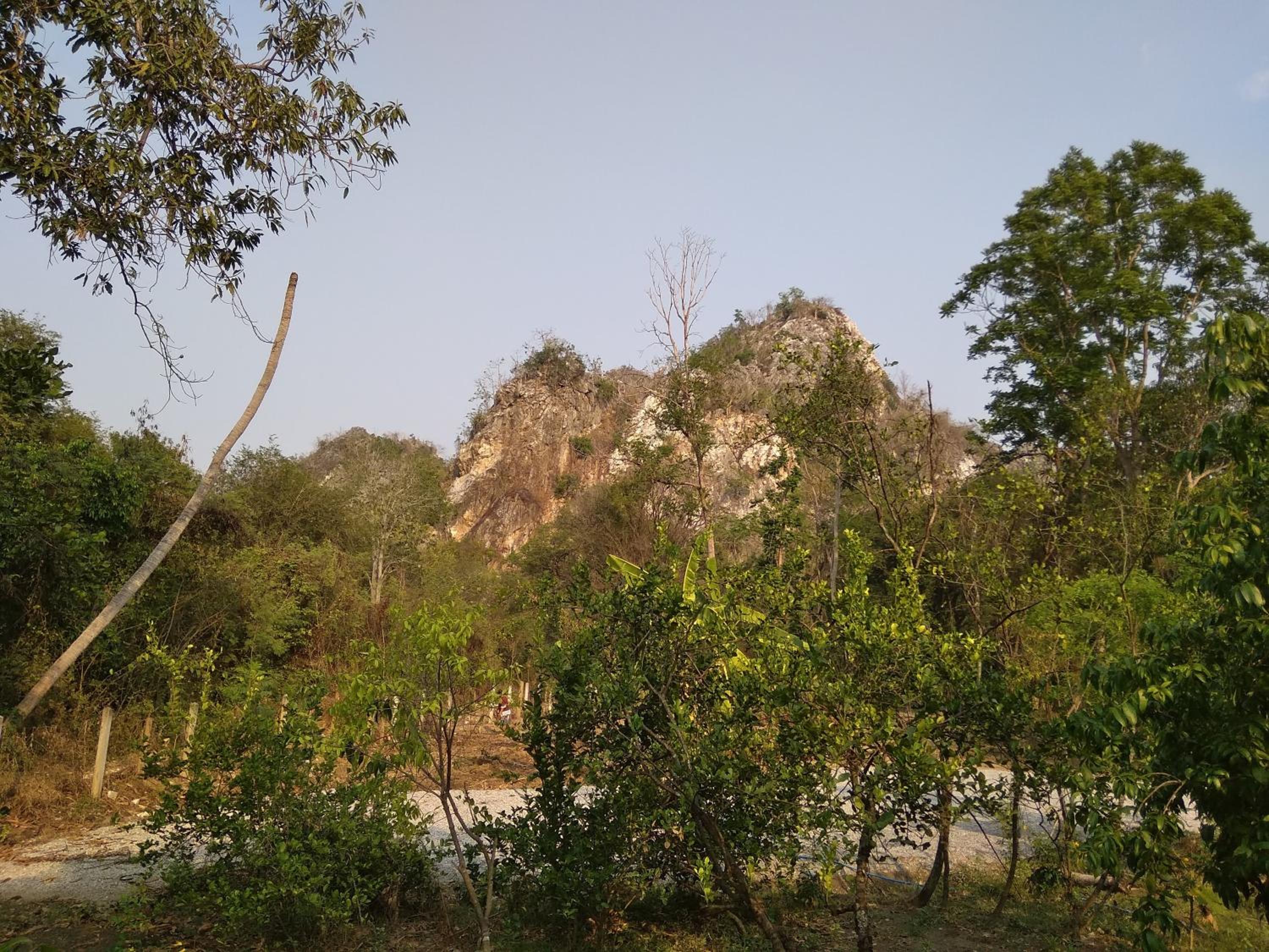 Photo 49