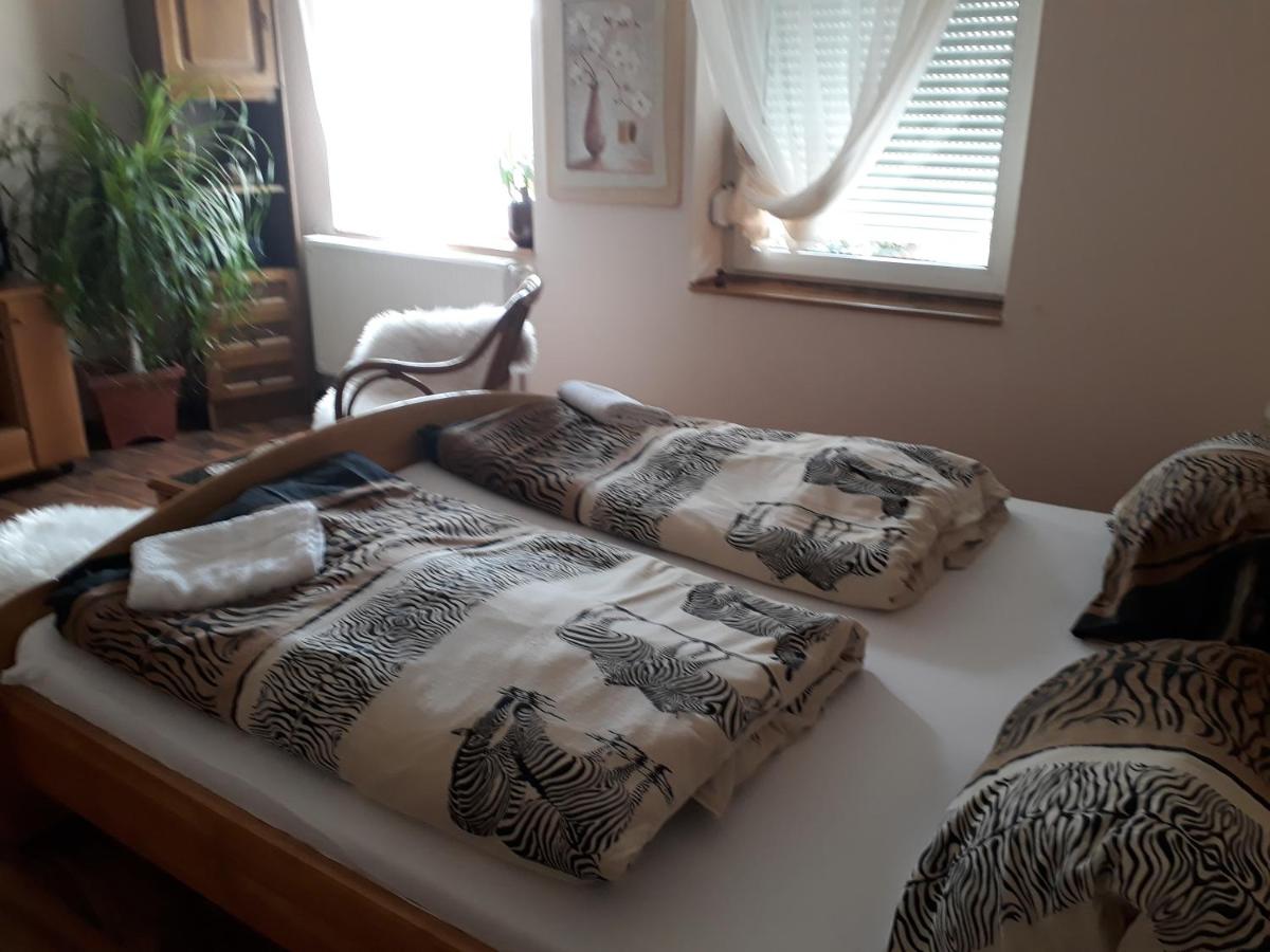 City Camping& Apartman &Bungalow view 3
