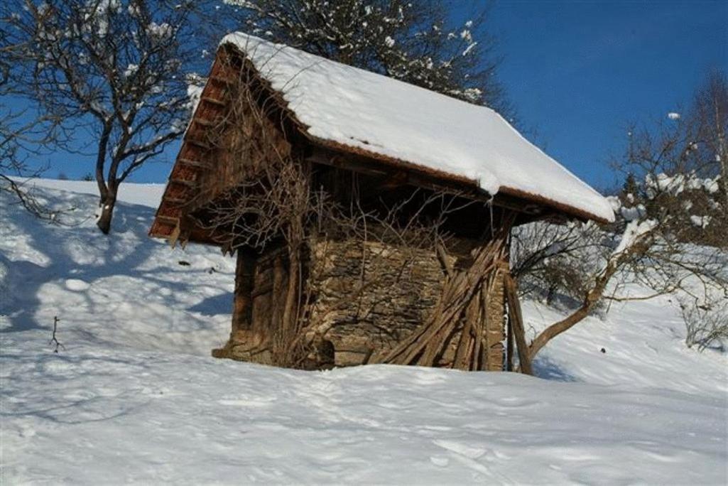 Gästehaus Freitag das kleine Hotel