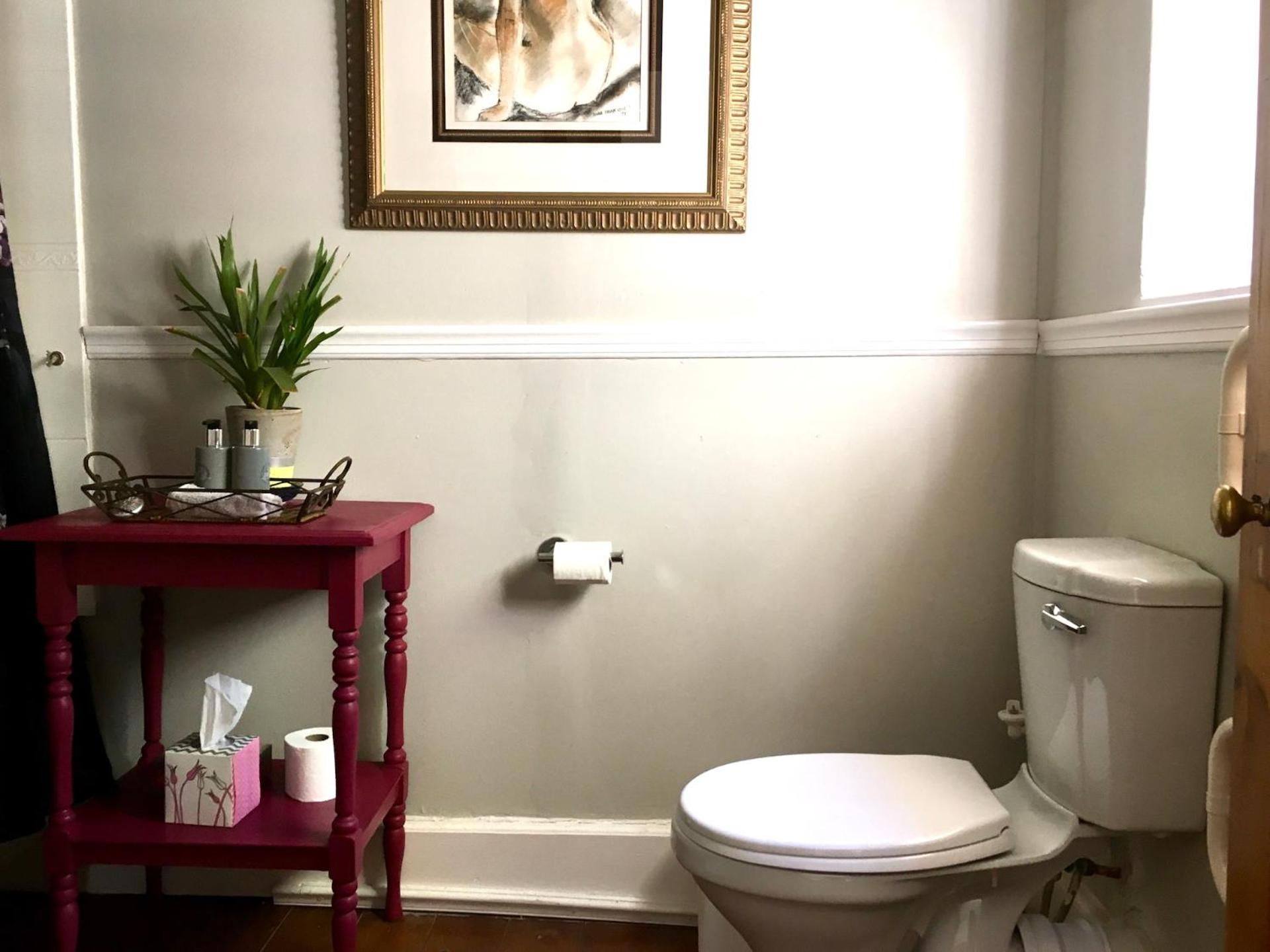 John Montagu Accommodation