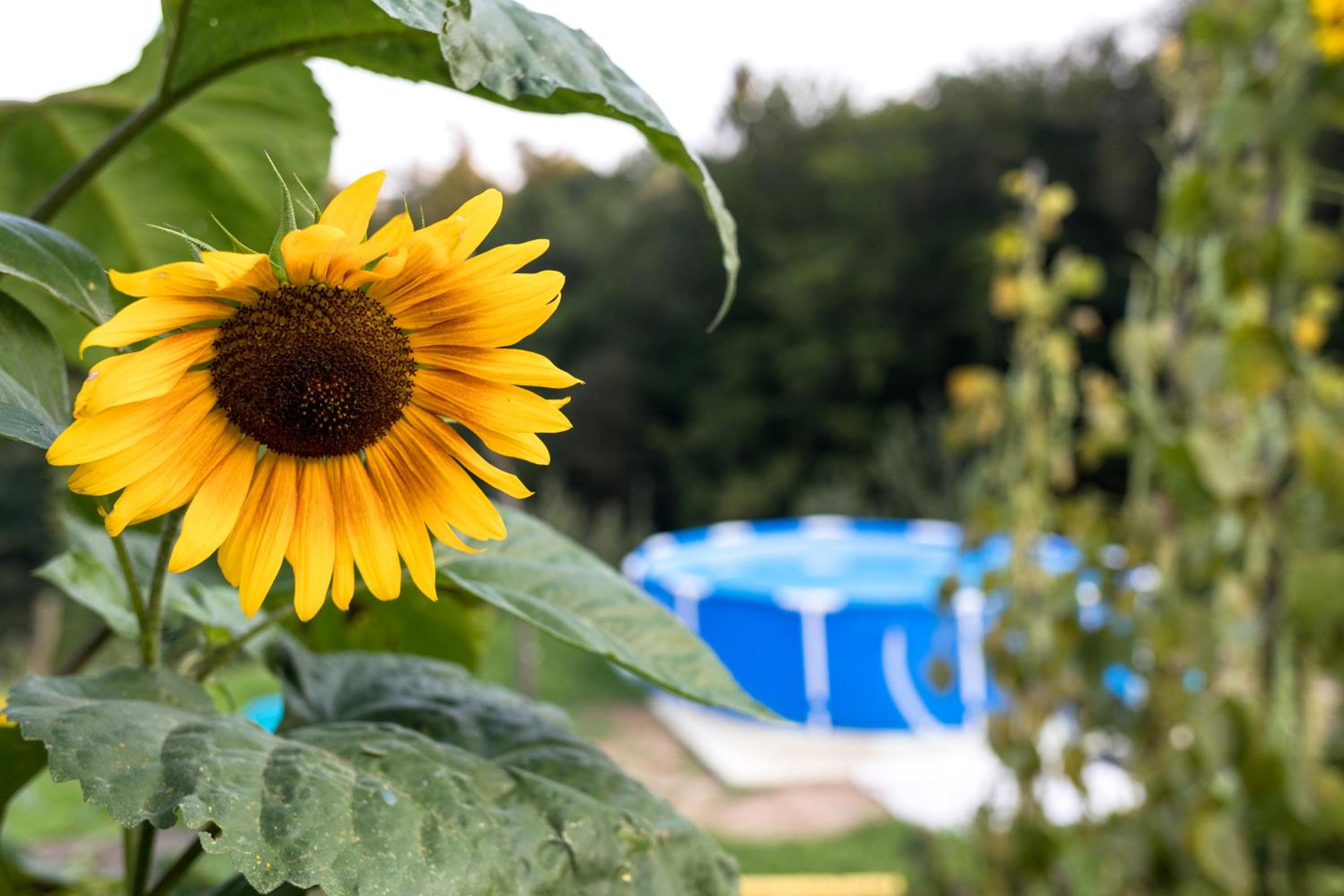 Glamping - Hayrack Vesel view 4