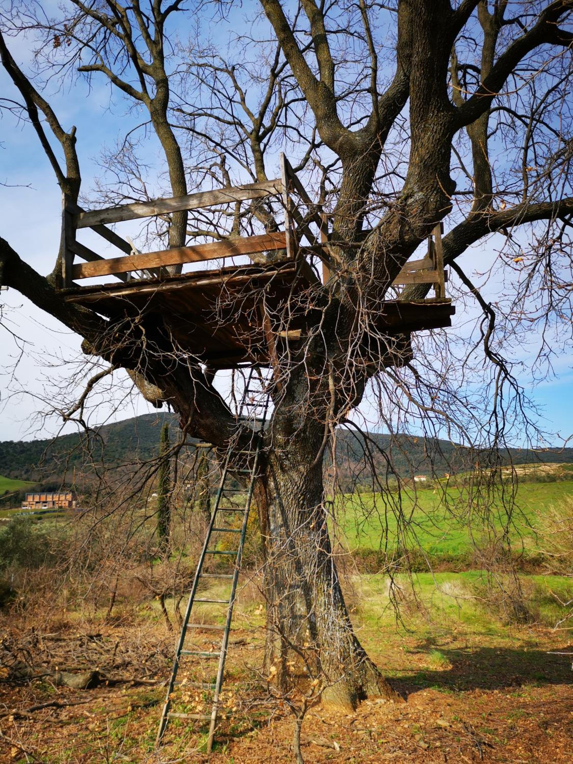 Agriturismo La Svolta