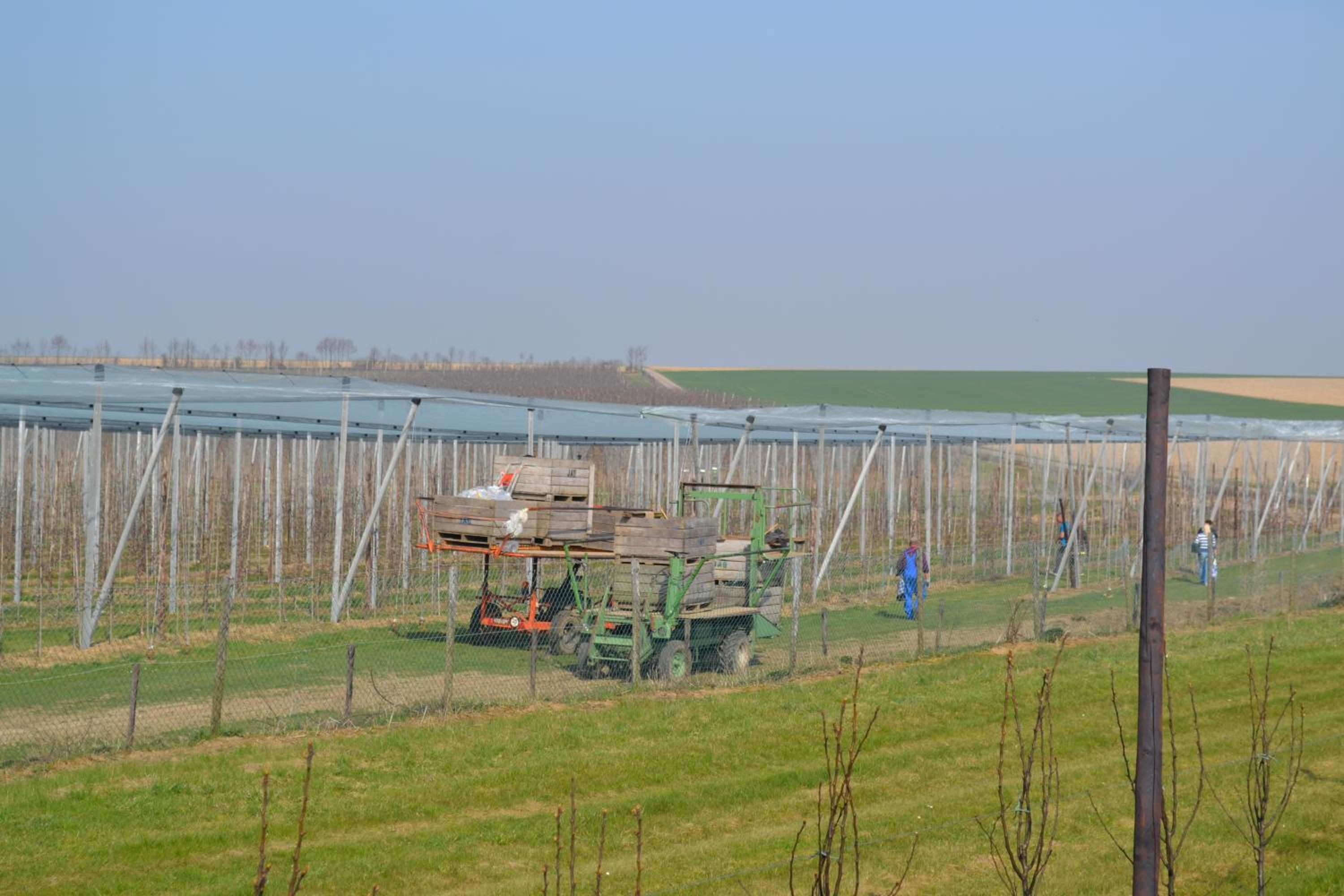 Hoeve Jadoul