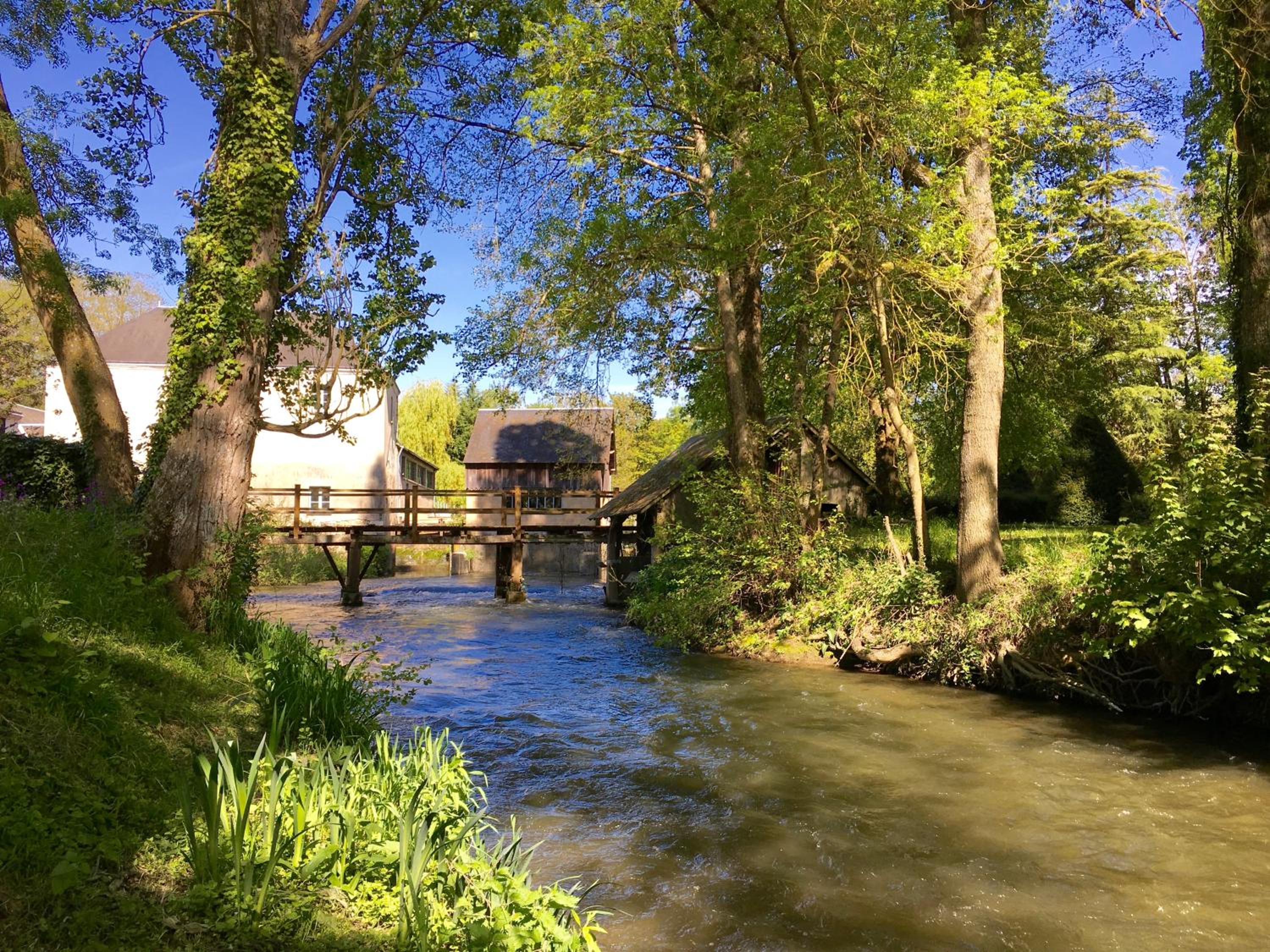 Photo 42