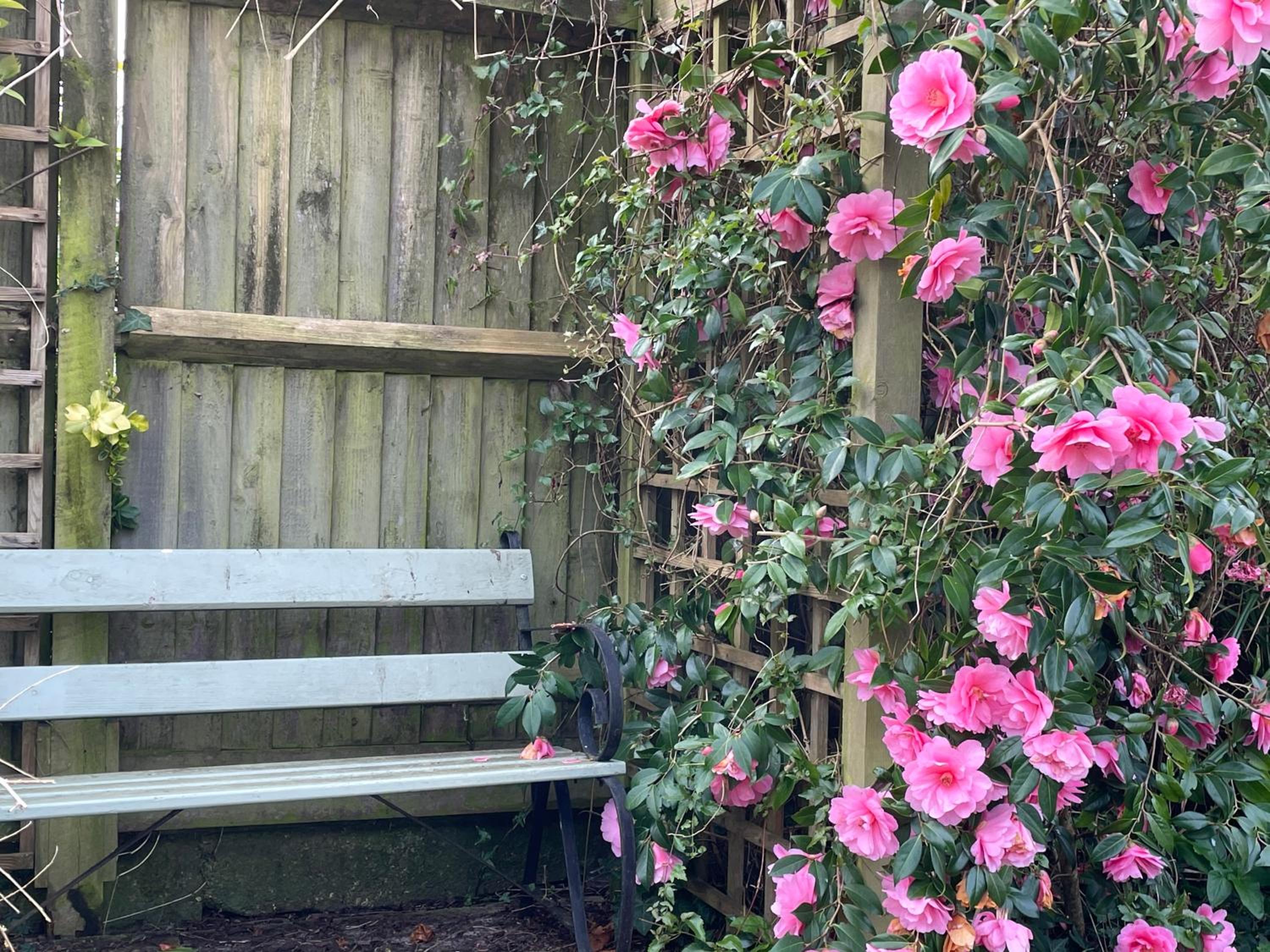 Chiddy Nook Cottage view 5