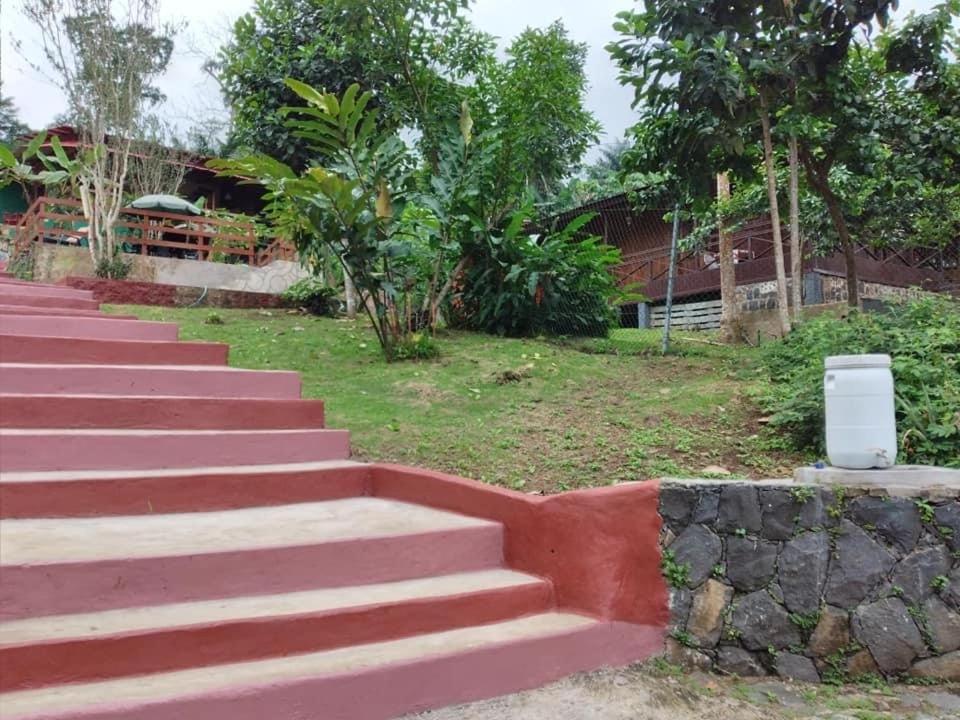 Photo 41