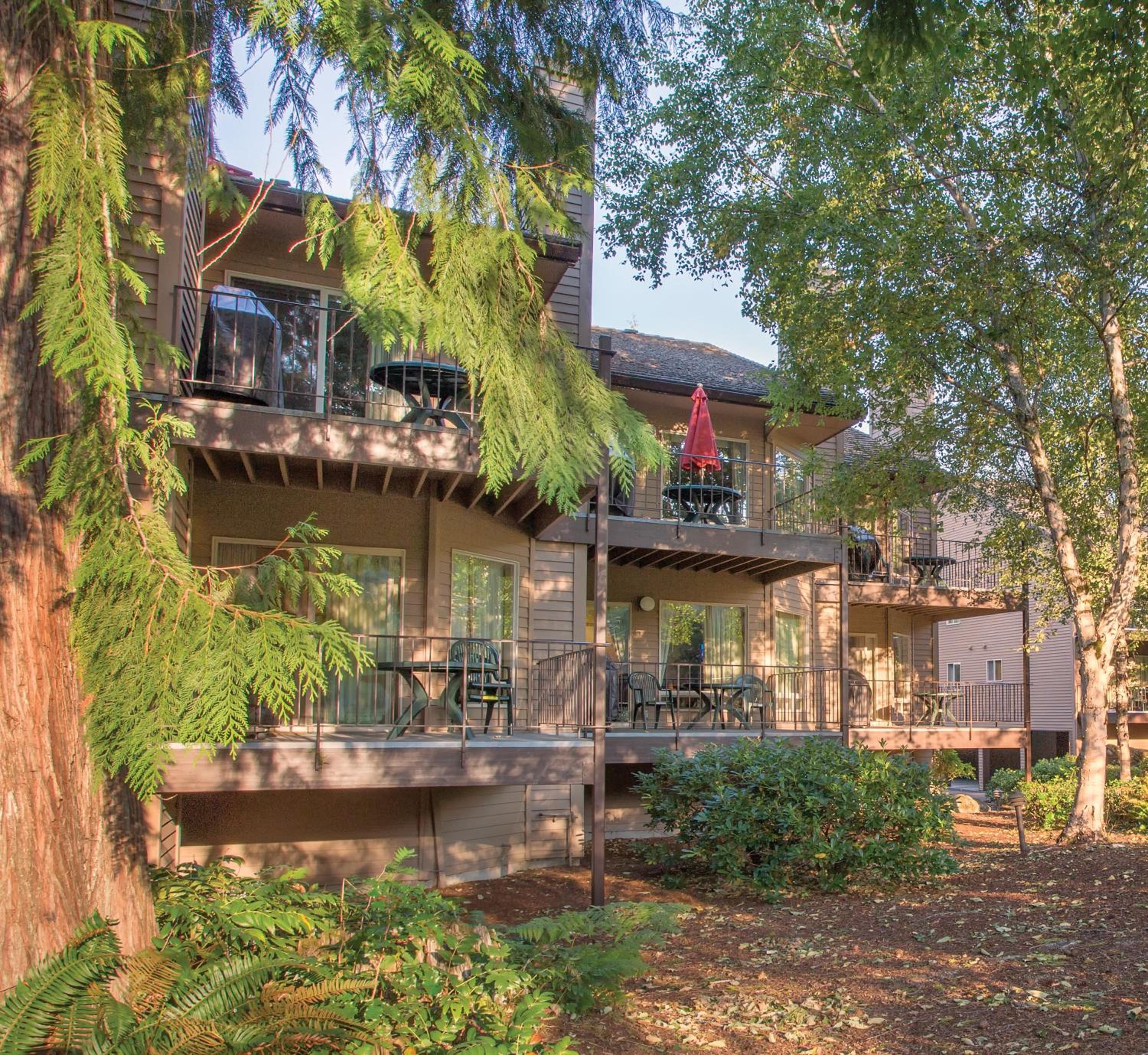 Whispering Woods Resort