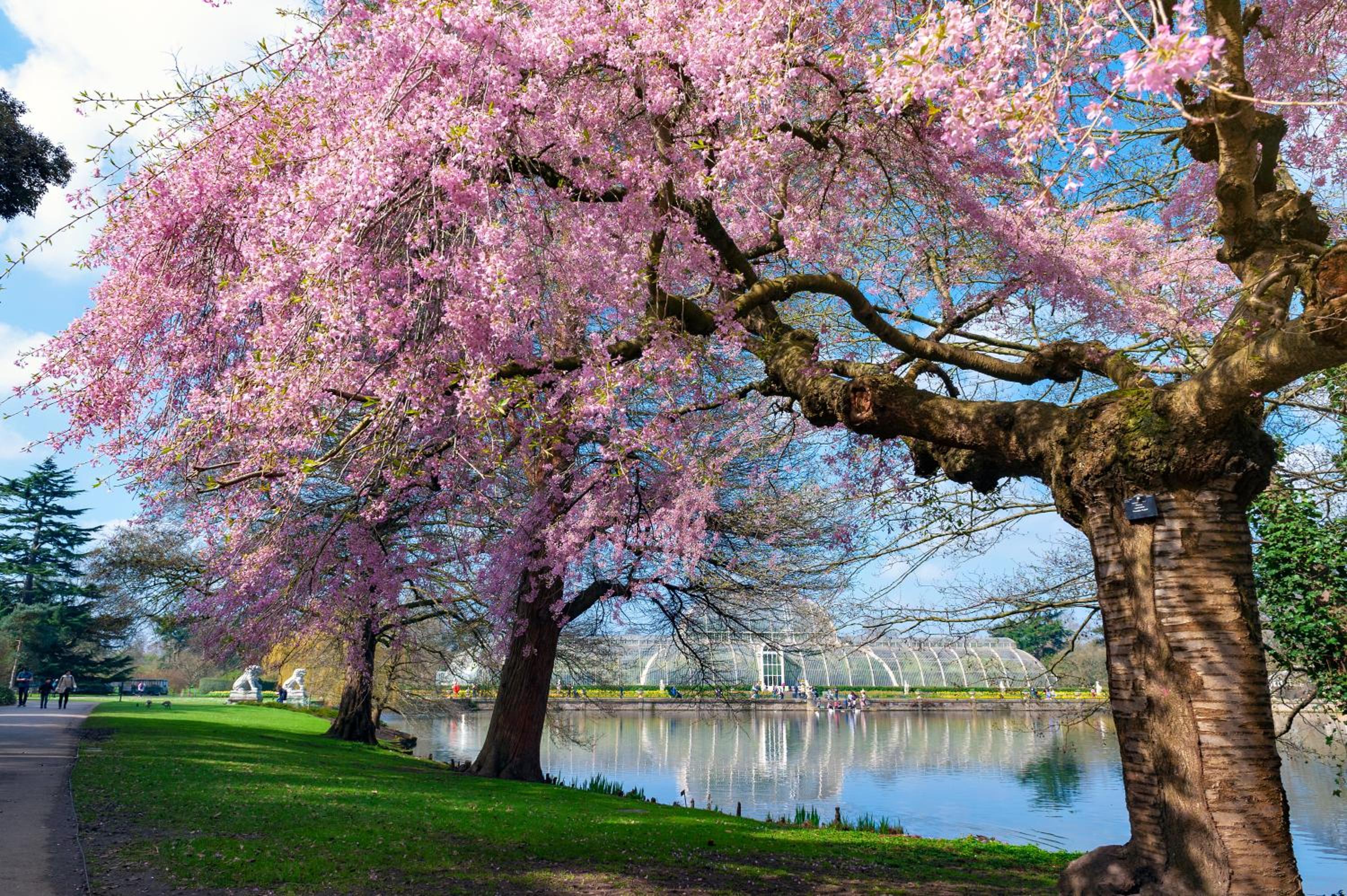 Richmond Riverside