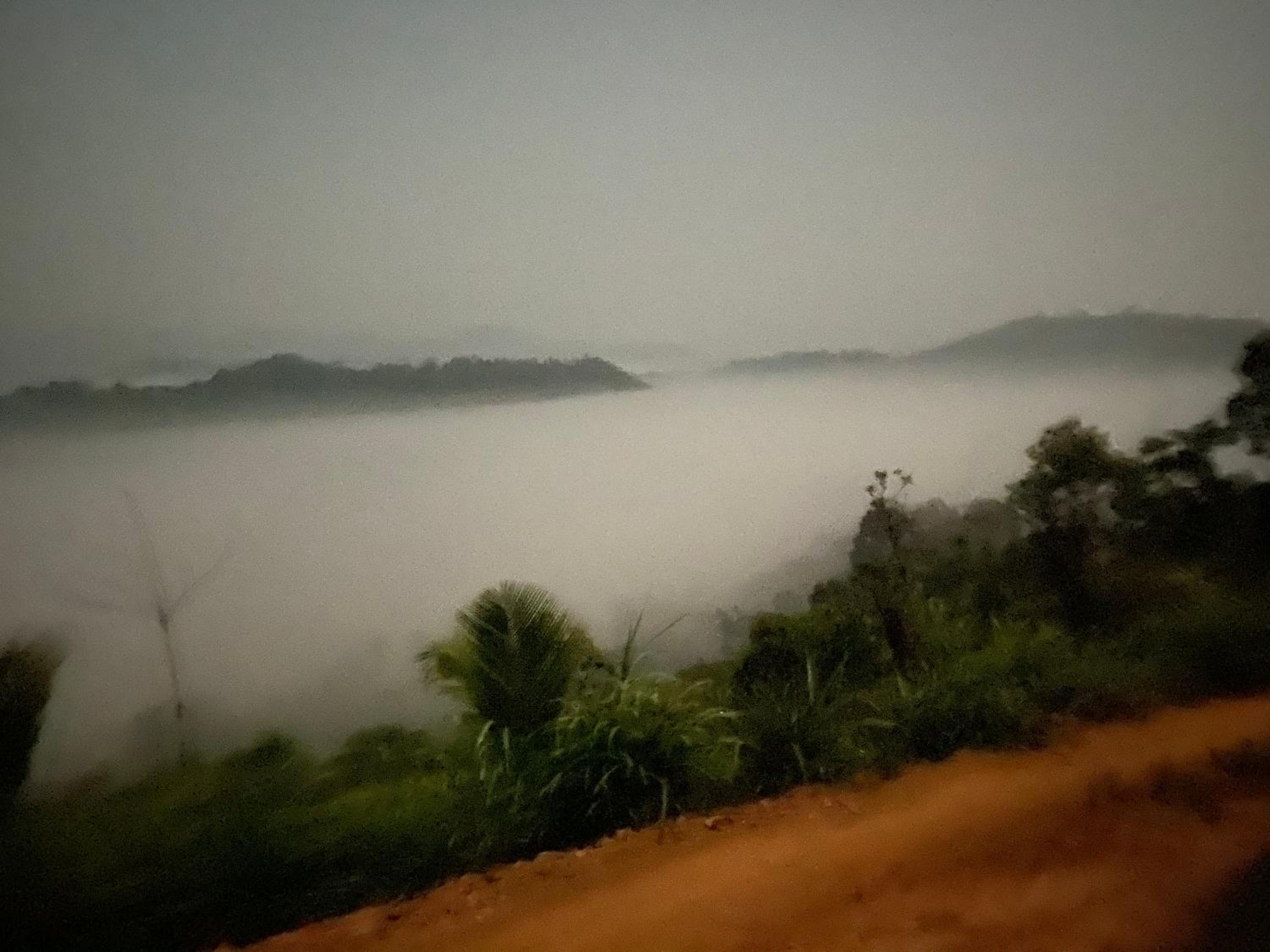 Wonderhill Wayanad Resort view 4