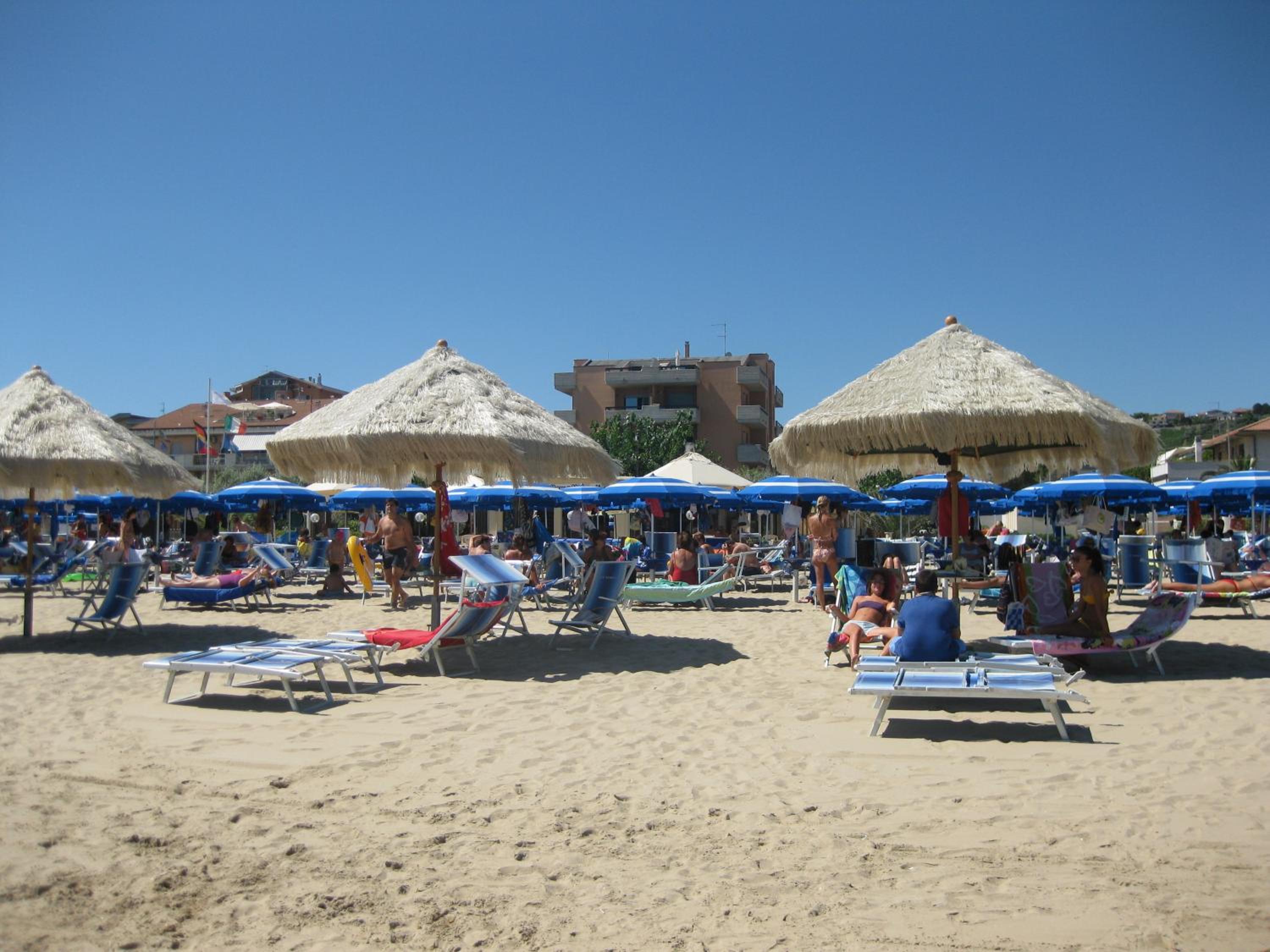 Photo 46