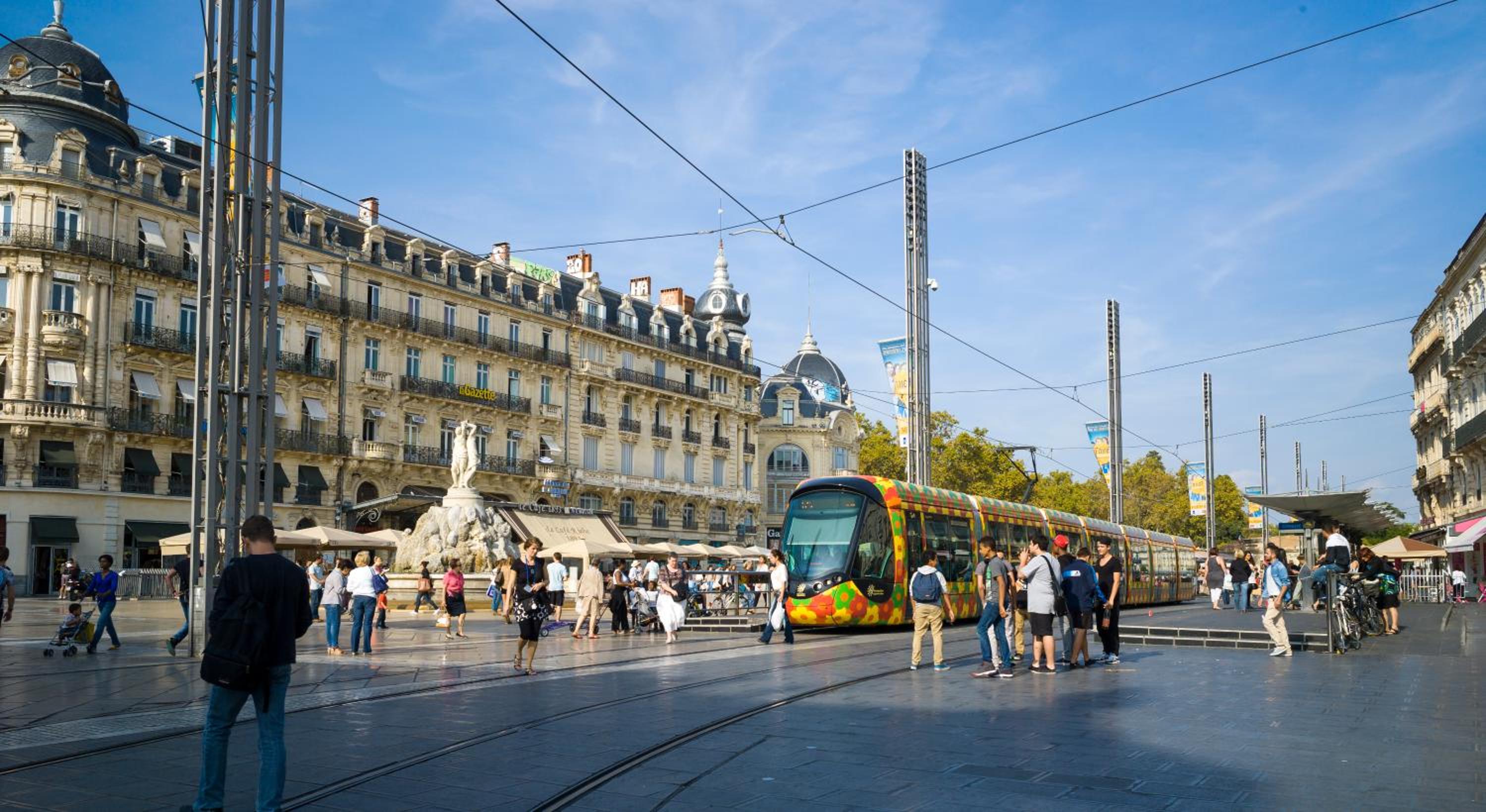 Montpellier Vacations - Hotel Royal - Property Image 25