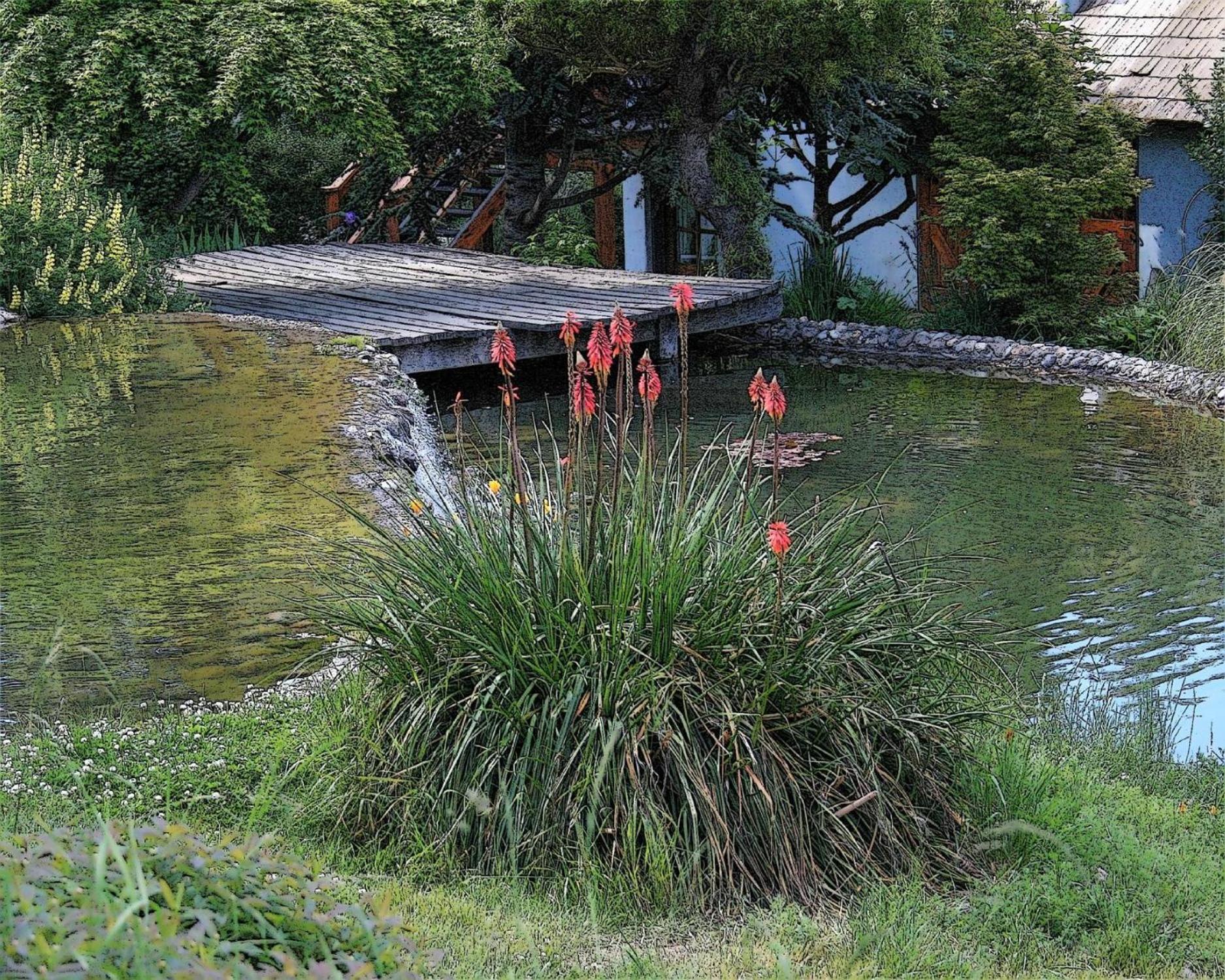 Bungalow Bariloche