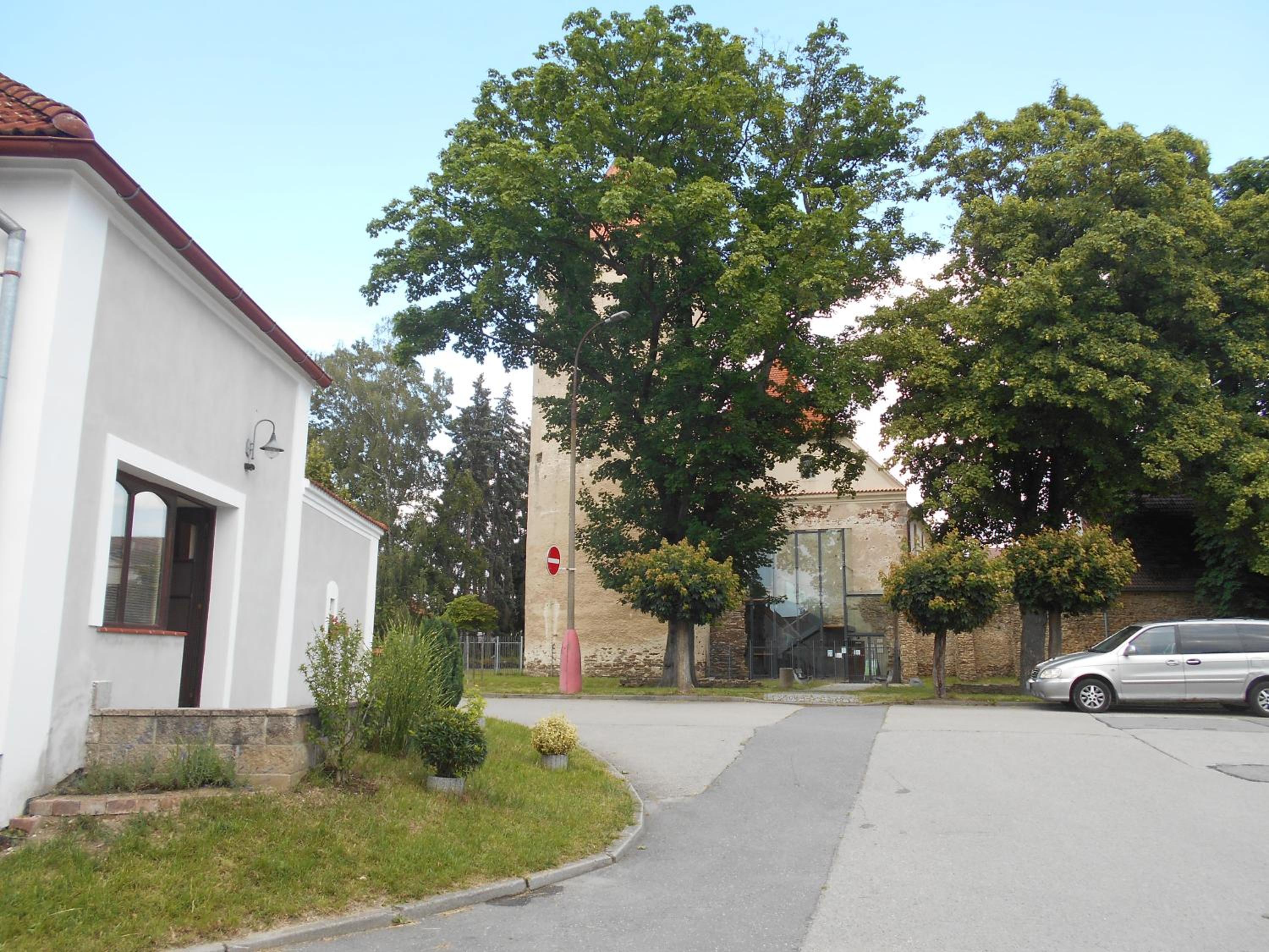 Photo 12
