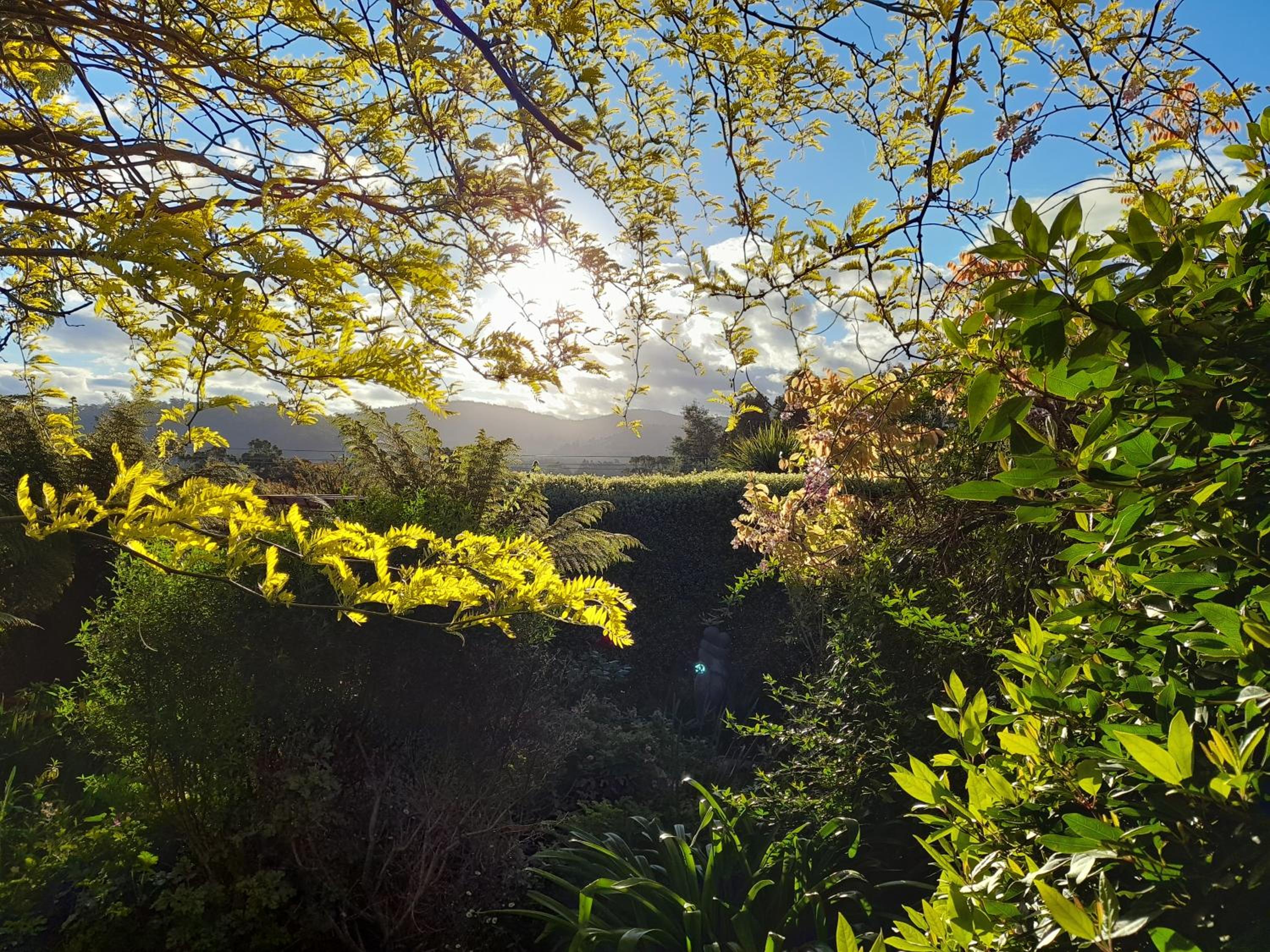 Hillside Bed and Breakfast