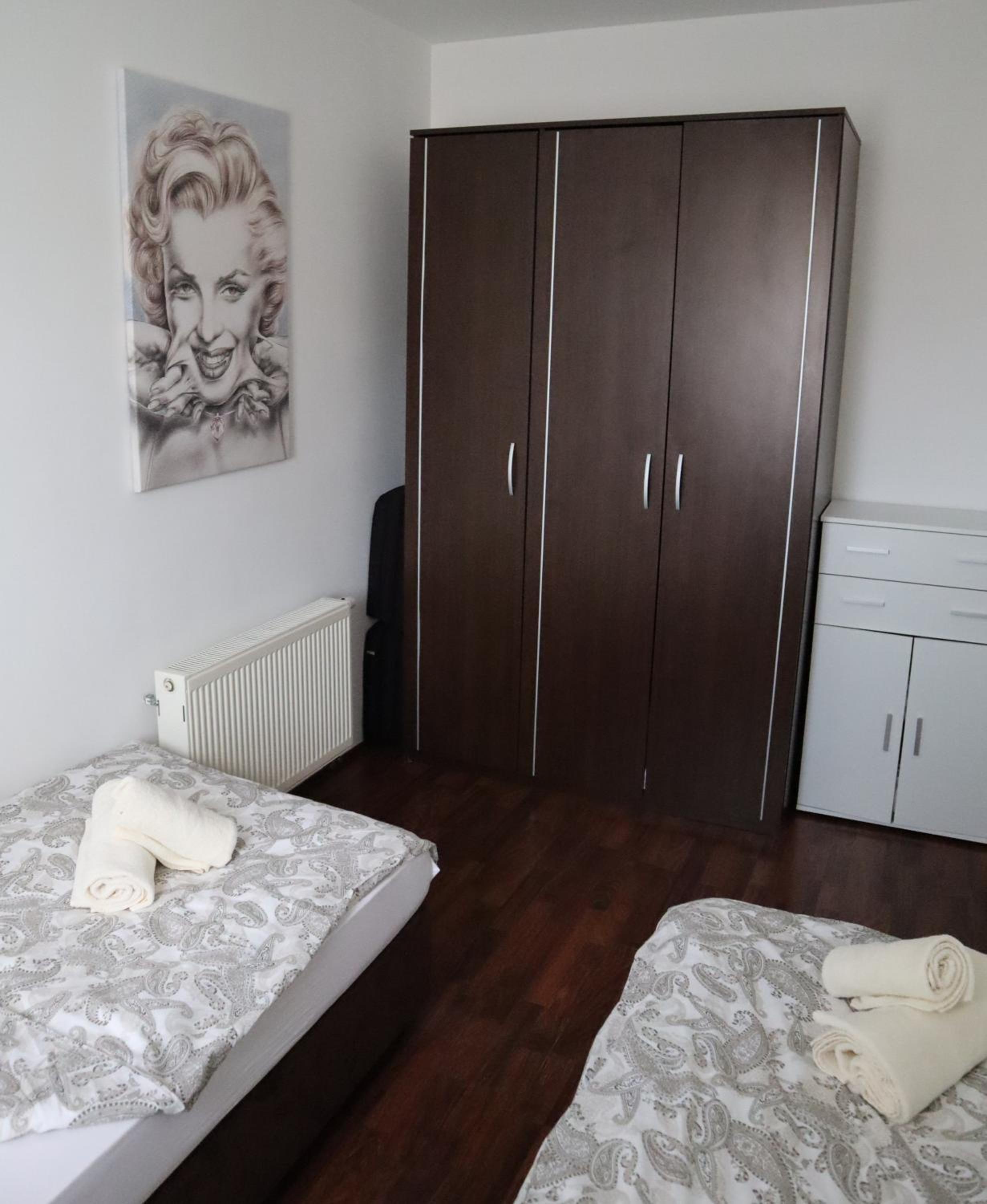 Apartment Sandra Toplice Sveti Martin view 3