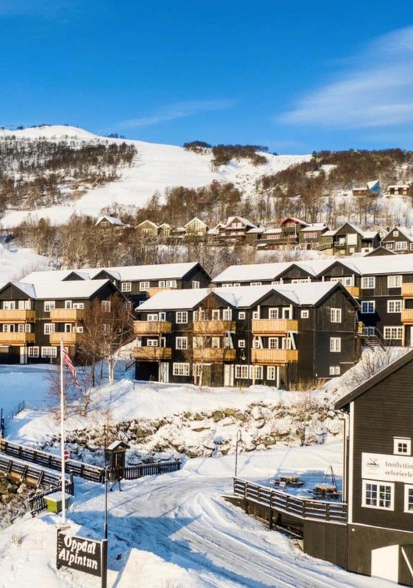 Oppdal Alpintun ski in ski out view 2