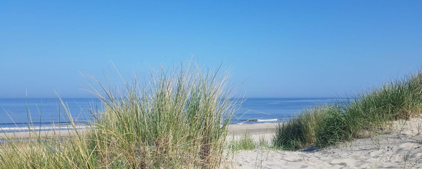 Mooi zo 1