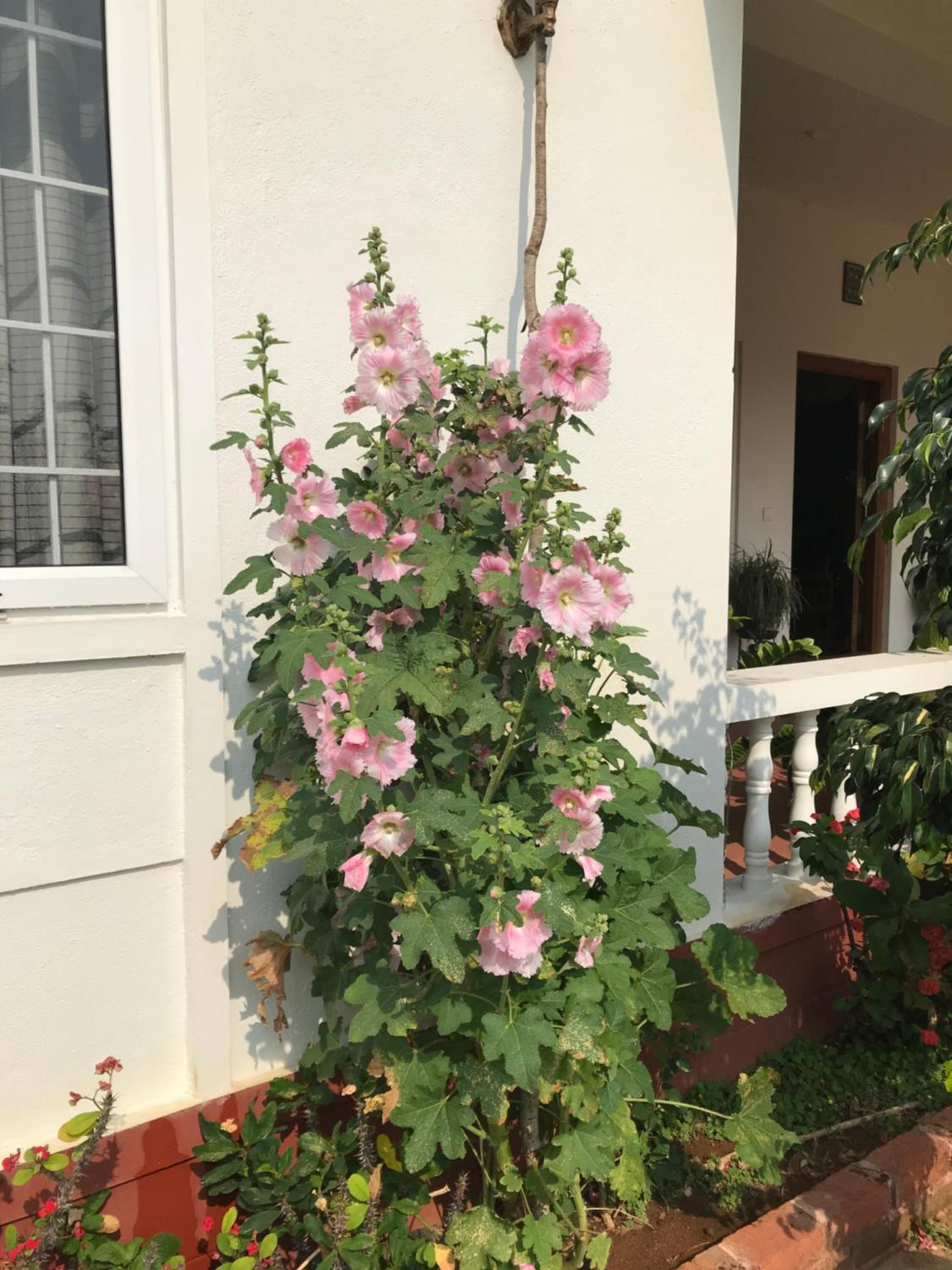 Photo 26