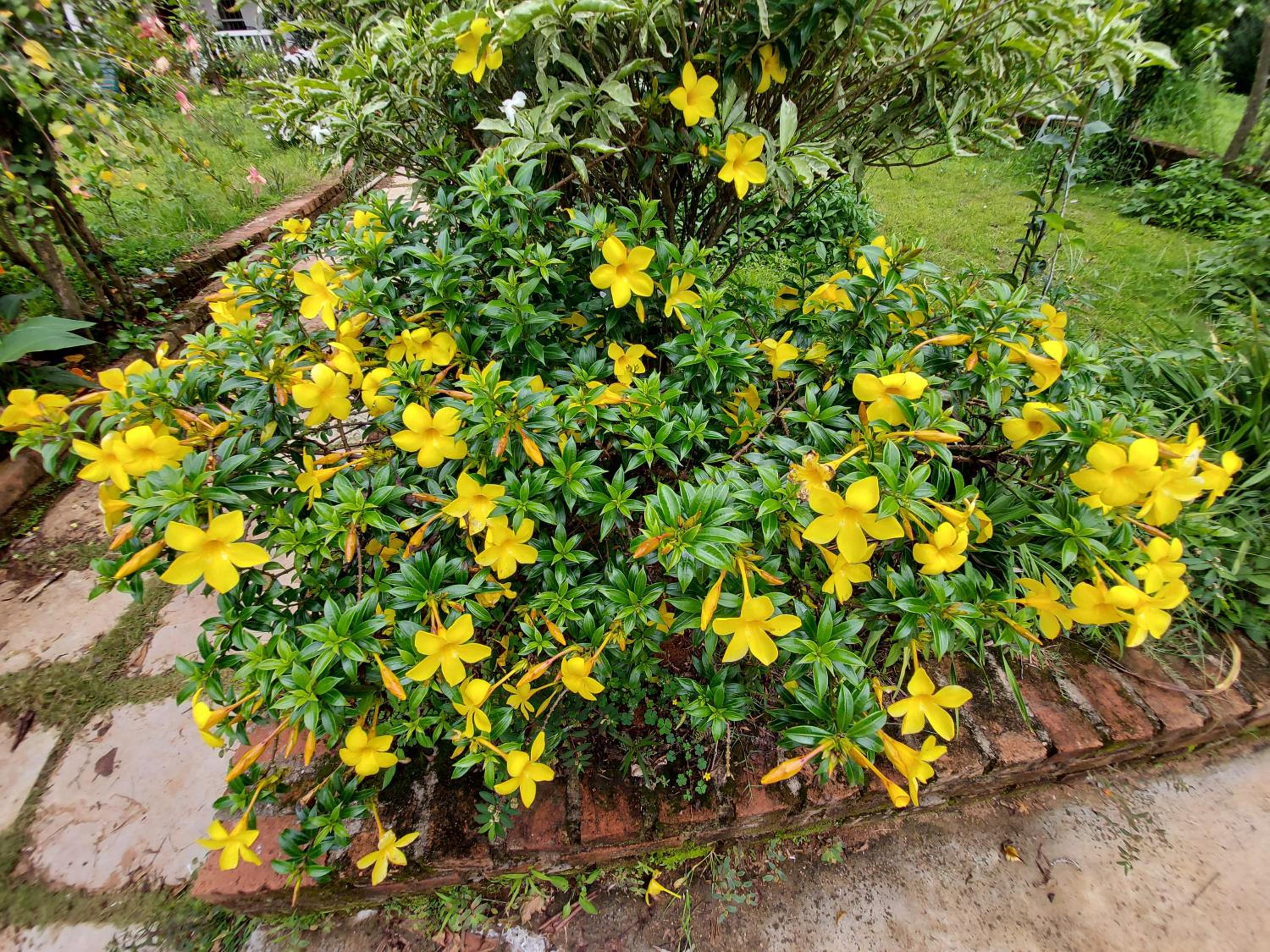 Photo 23