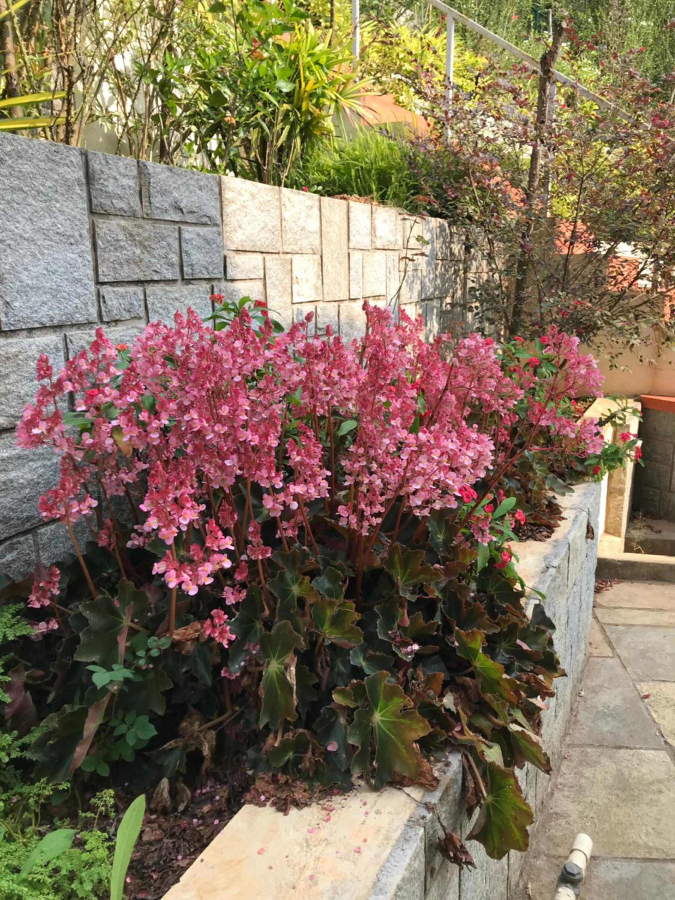 Photo 27
