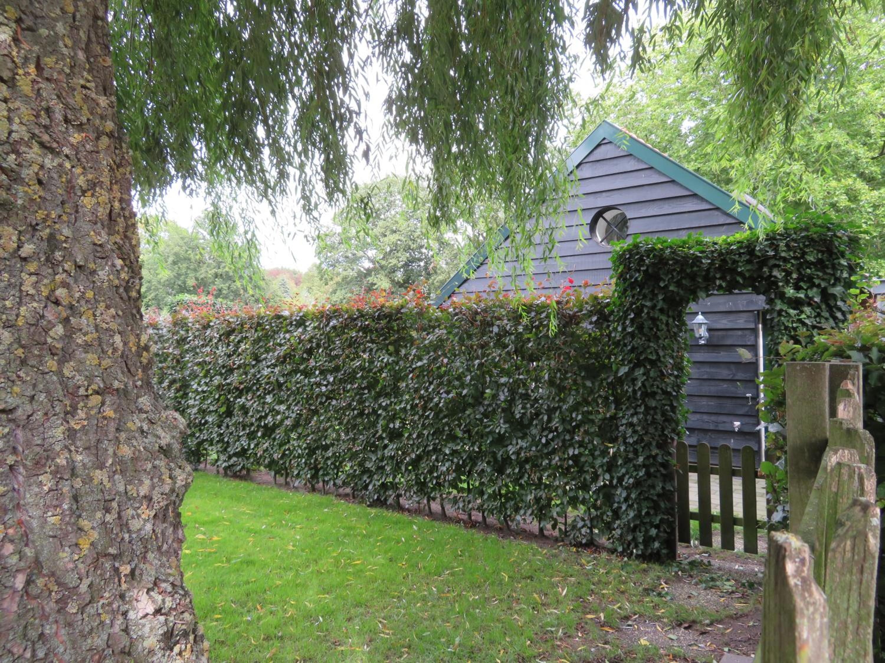 B&B De Willemshoeve, photo 41