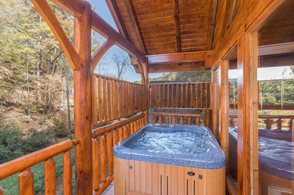 Smokey Max Cabin view 5