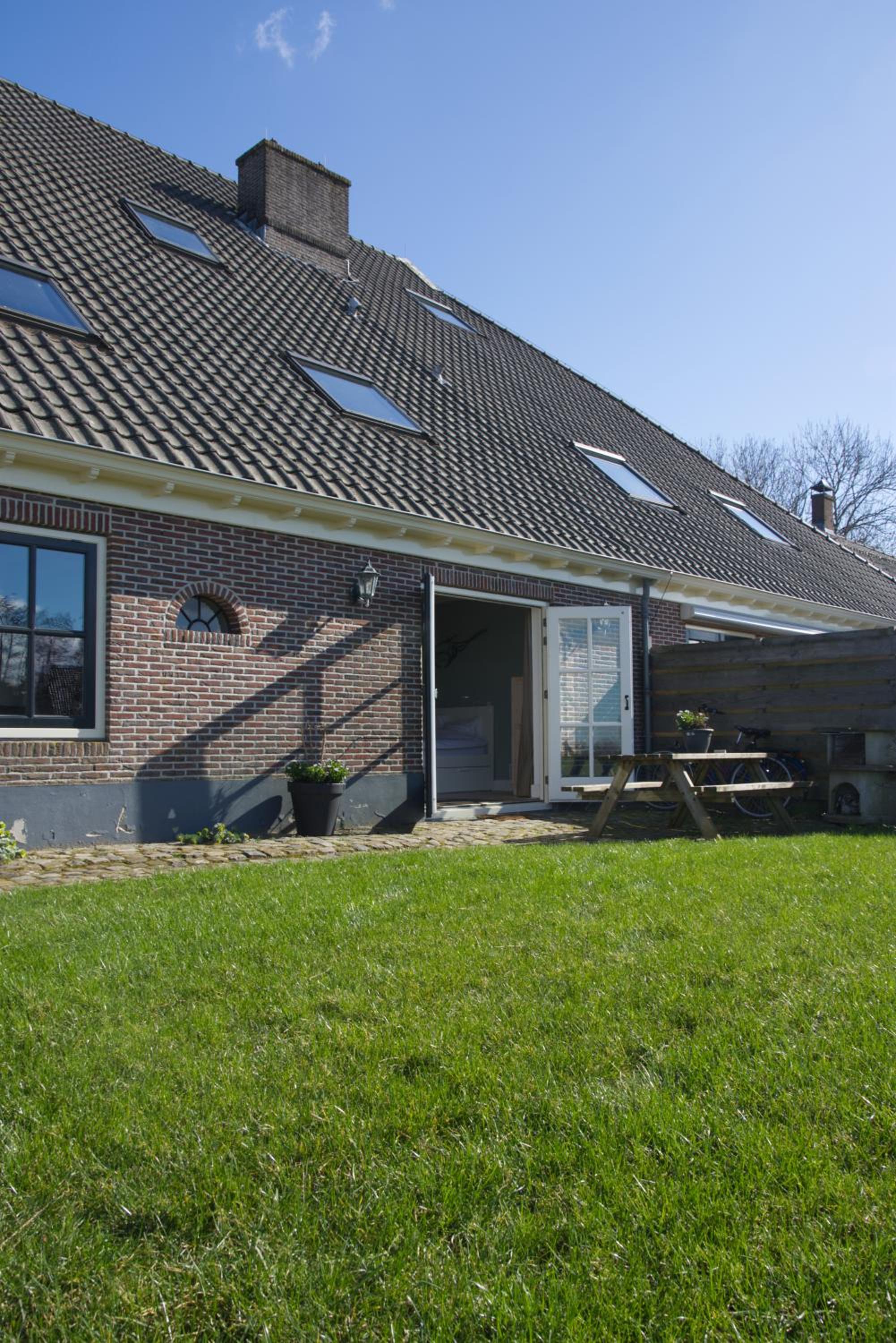Photo 11