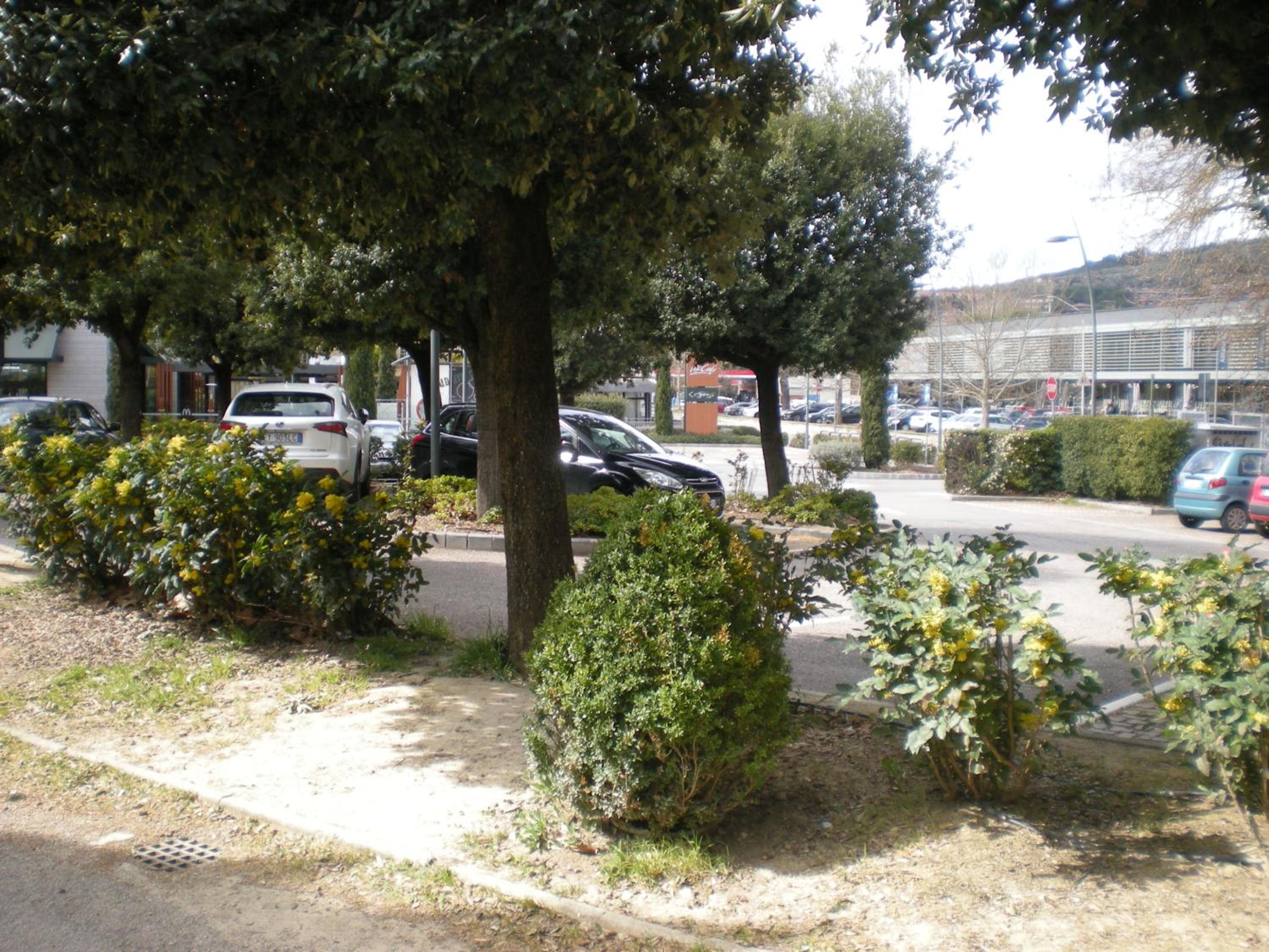 charming apartment Tilli with parking view 3