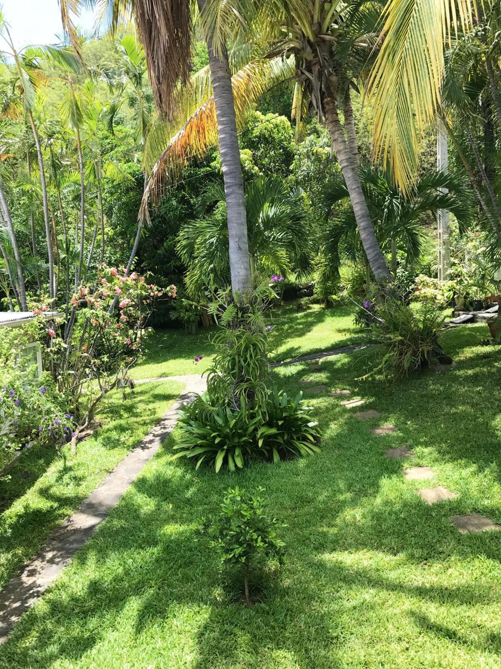Studio cosy à Boucan Canot, 30 m² avec jardin privé view 2