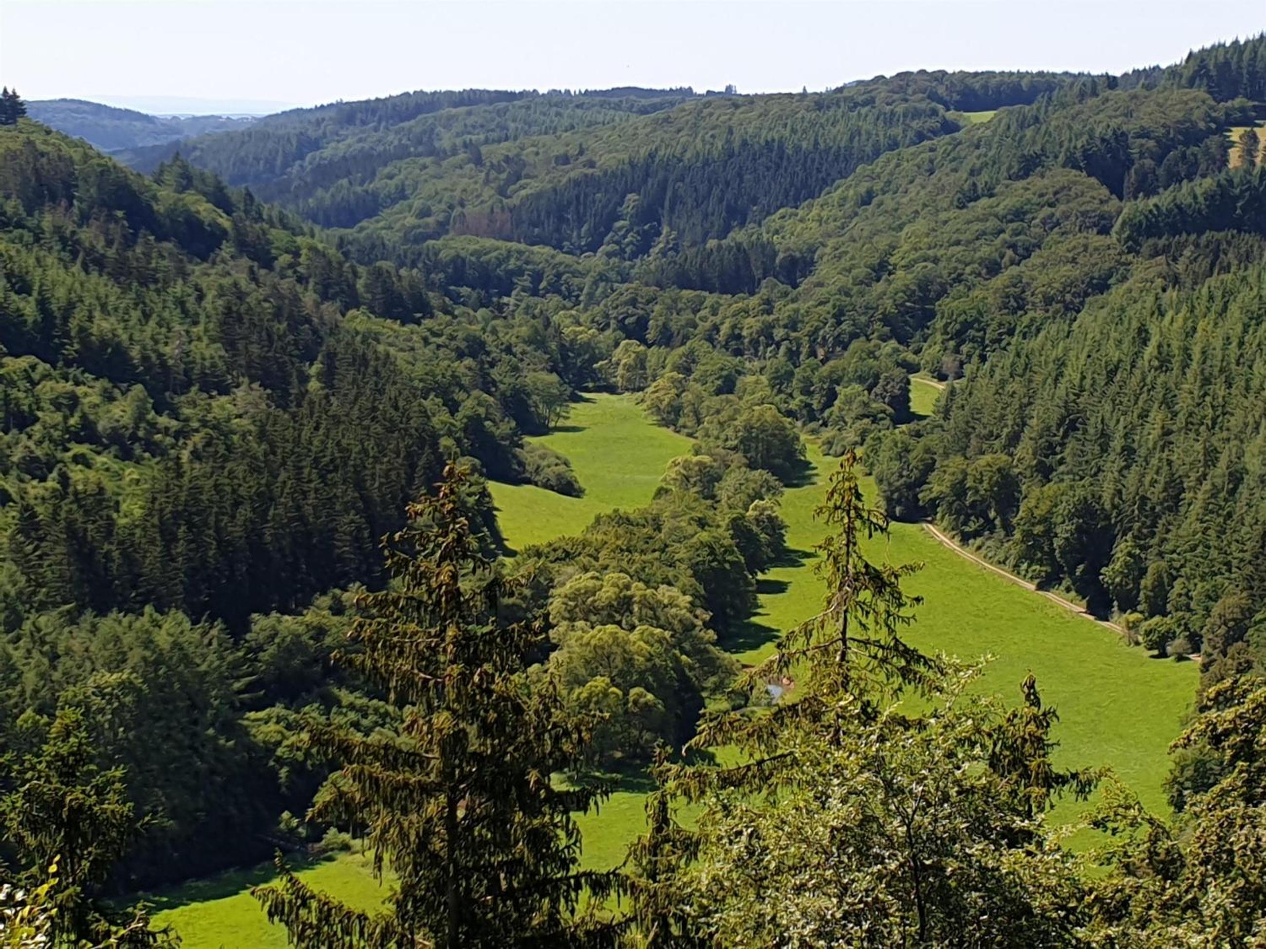 Ferienhaus Dreier-Ley view 5