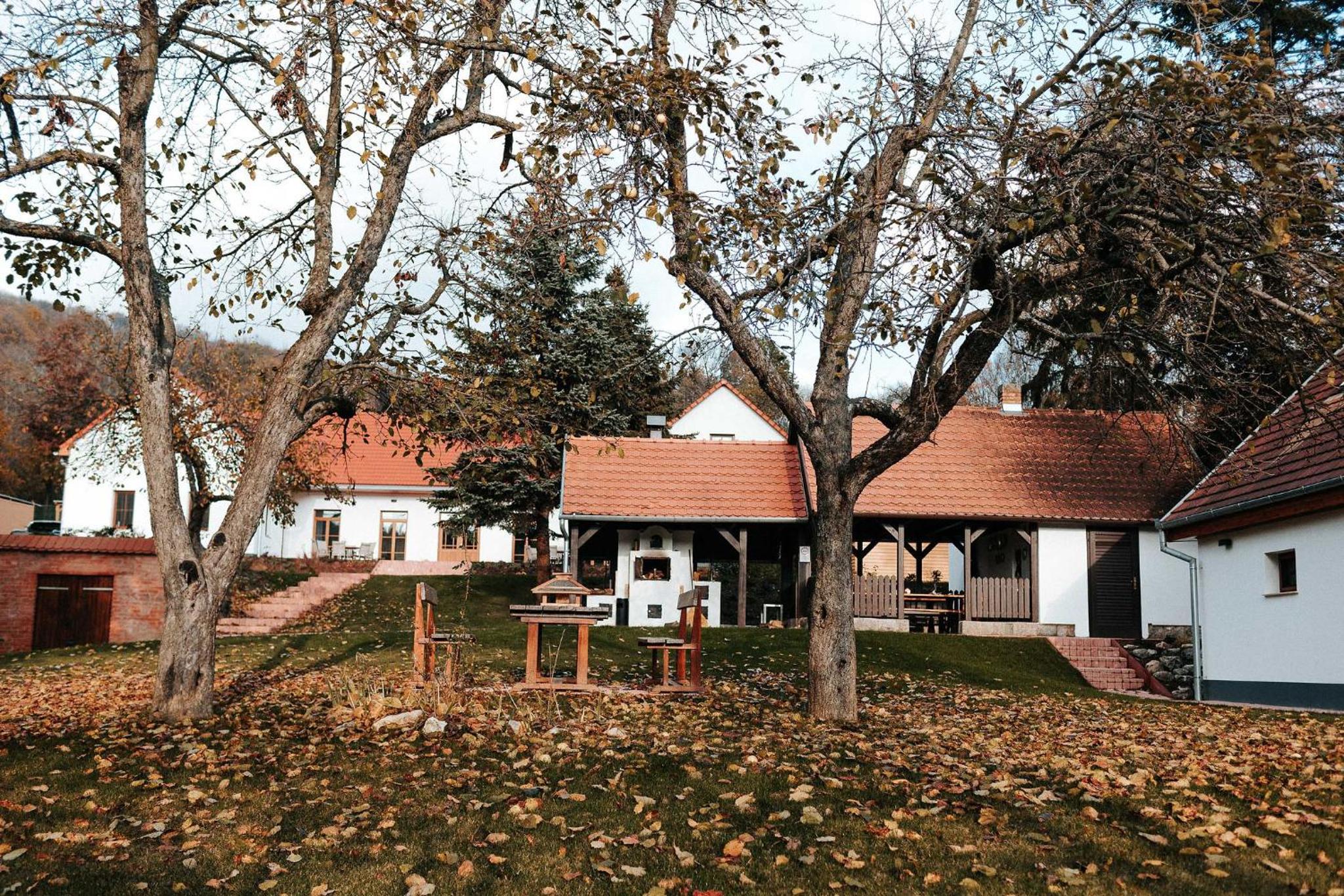 GLASHÜTTE Kisújbánya Vadászház view 2