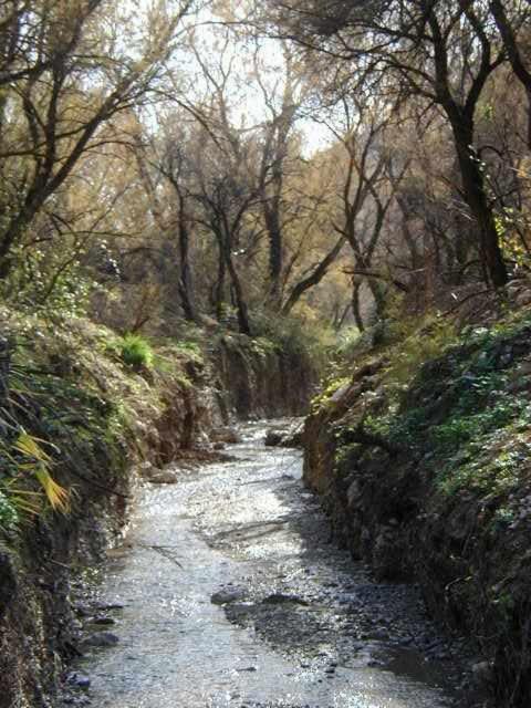 Photo 37