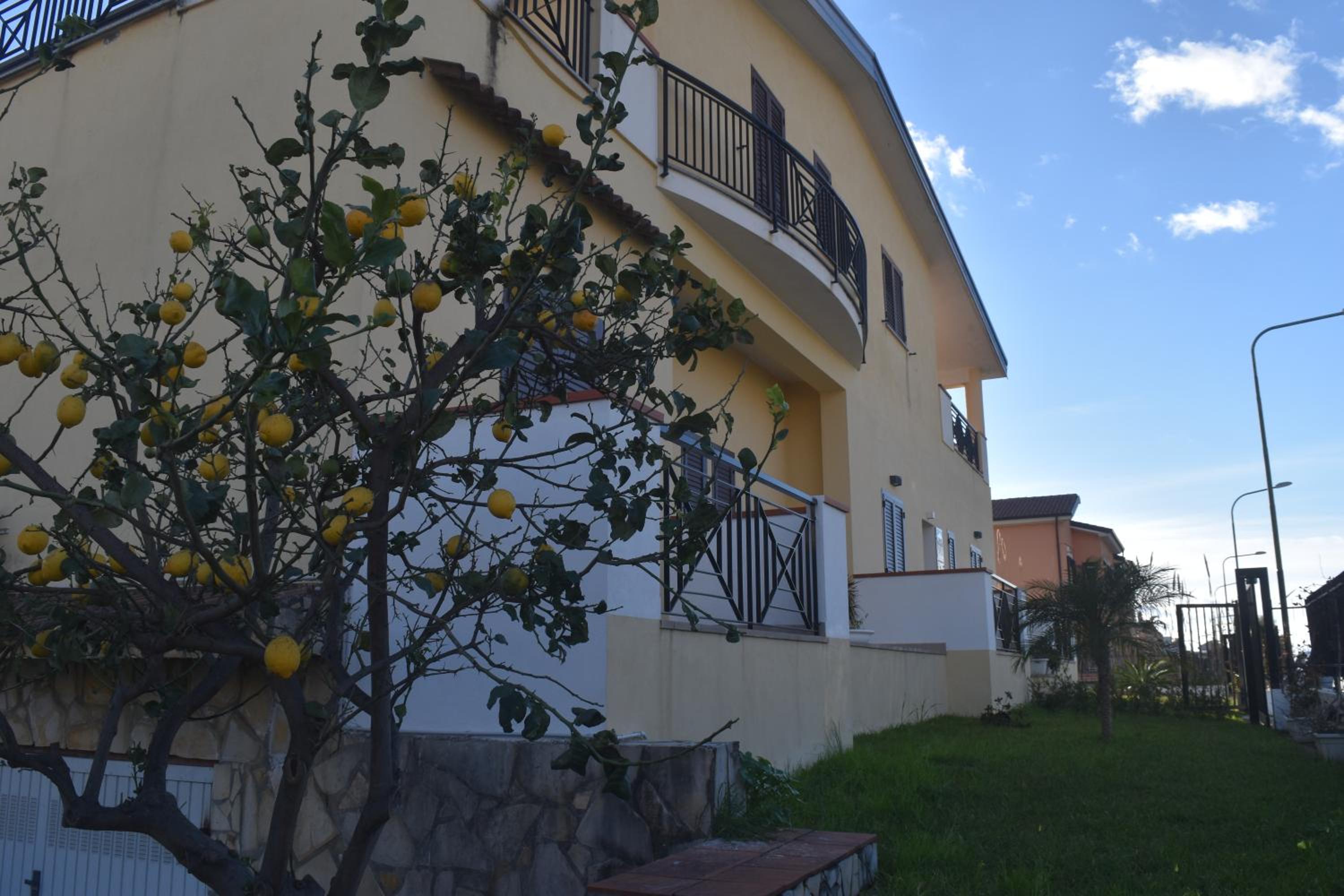 Bed & Breakfast Domus Pepe Scalea photo 1