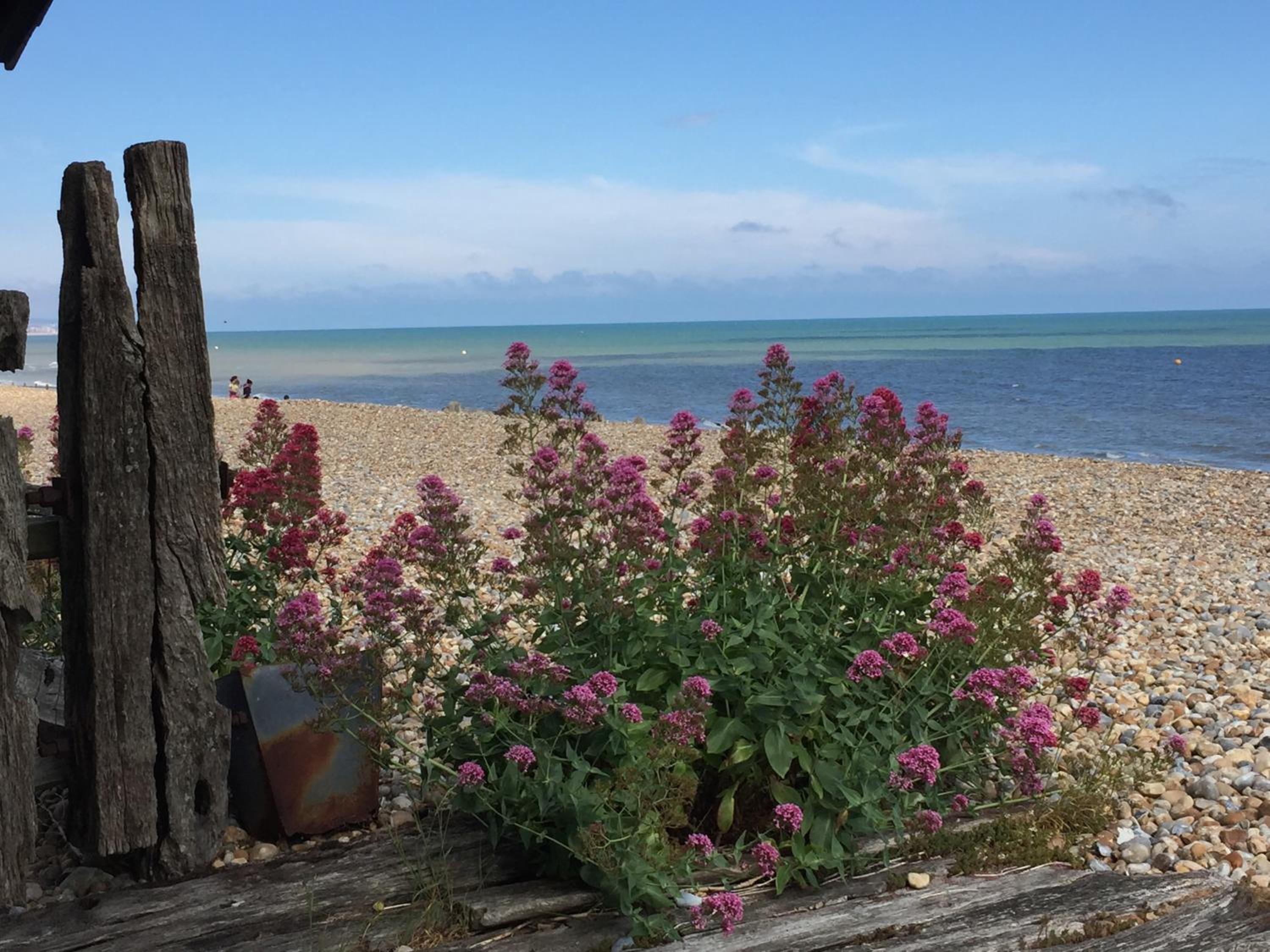 Beautiful 4 Bed Beach House view 4