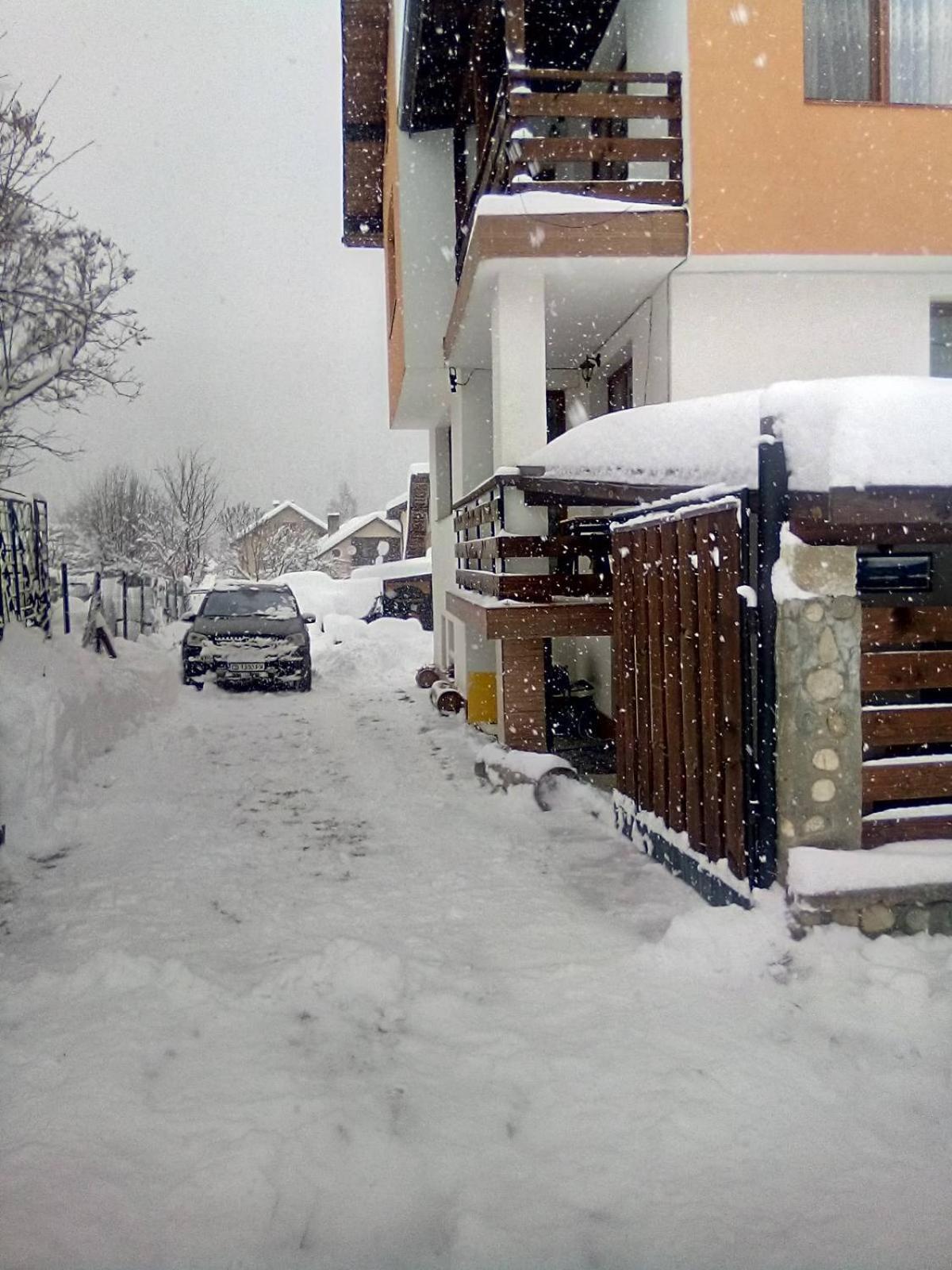 Guest House Markovi