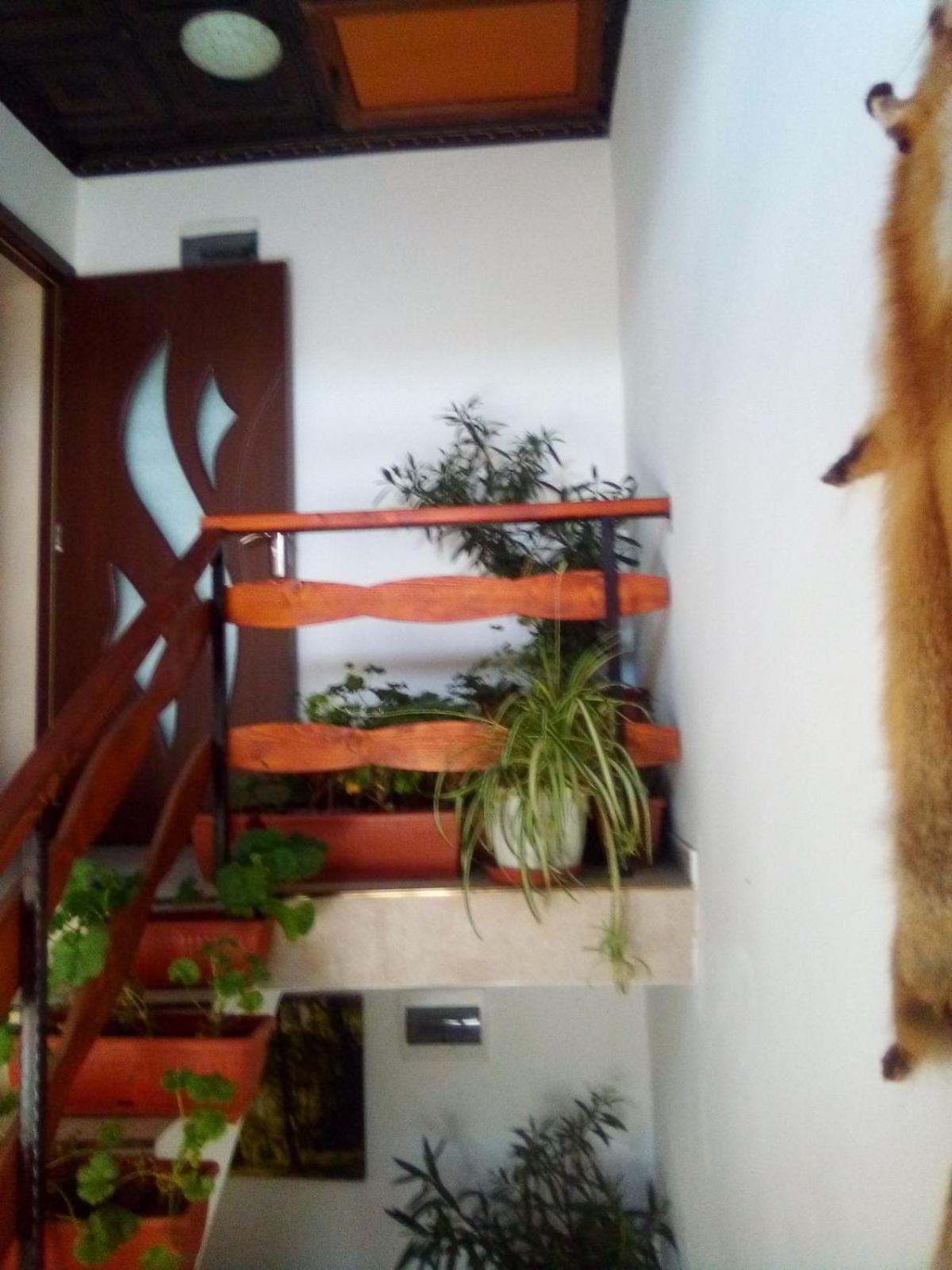 Guest House Markovi