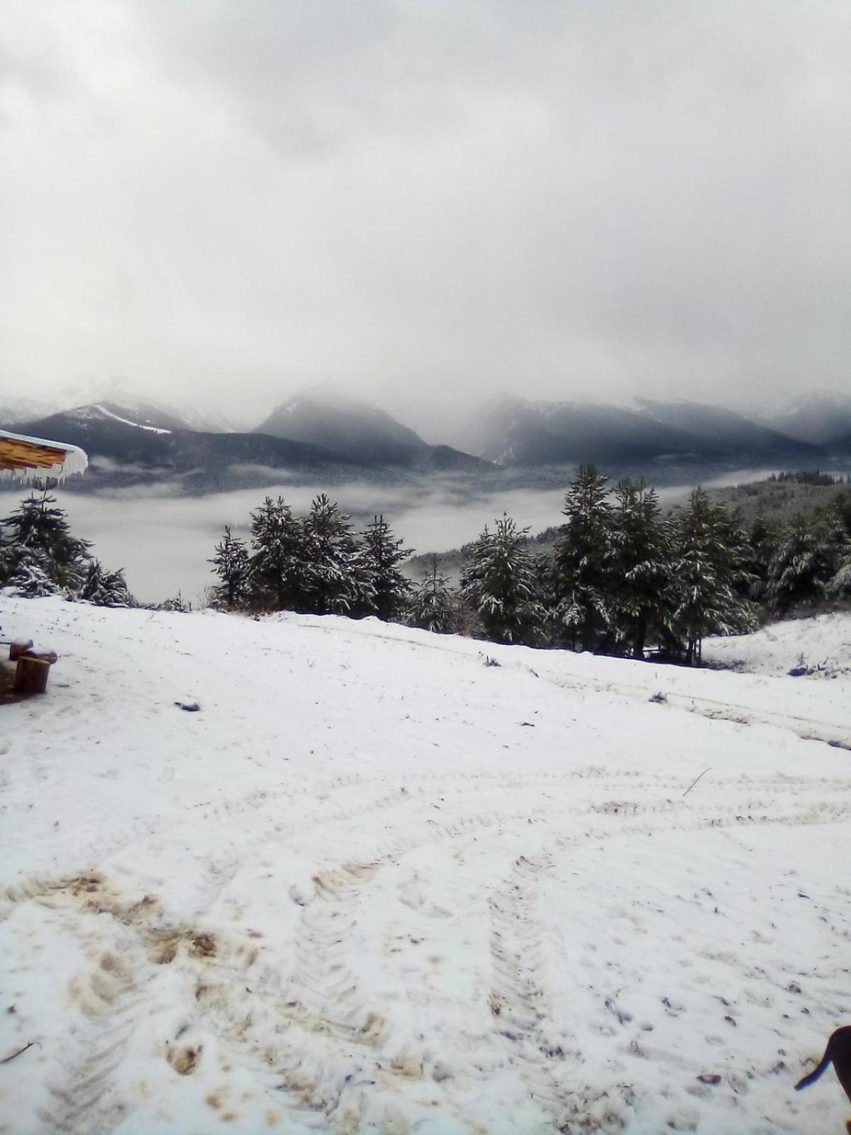 Guest House Markovi