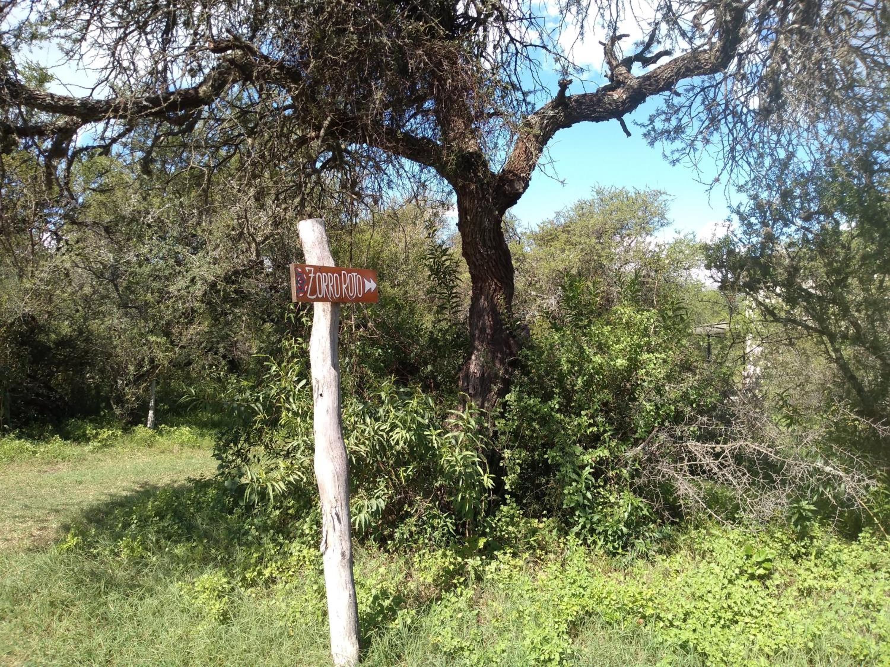 Campo de los Zorros