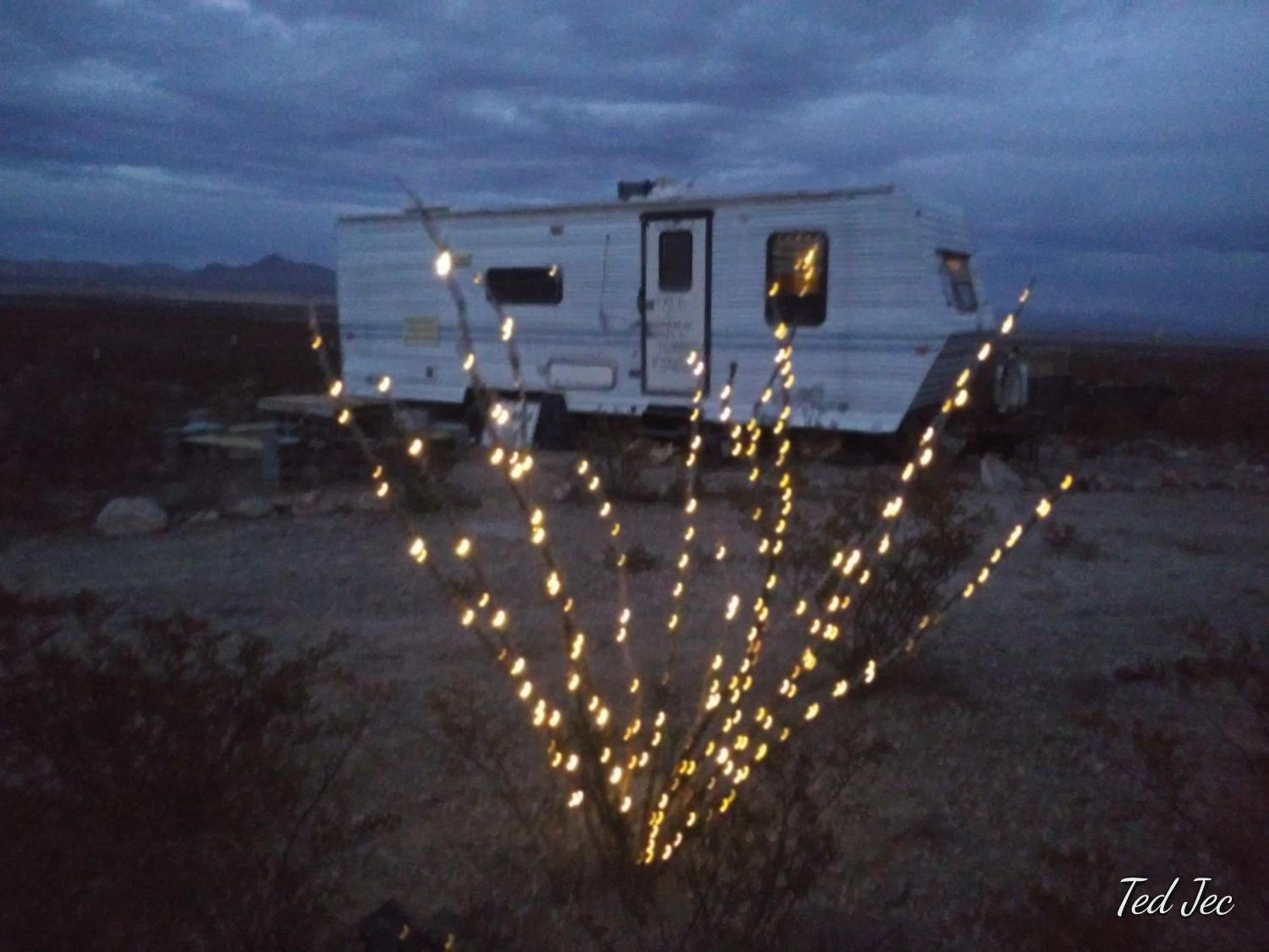 Van Horn Vacations - Camping at Desert Gardens Oasis at Lobo, Texas - Property Image 5