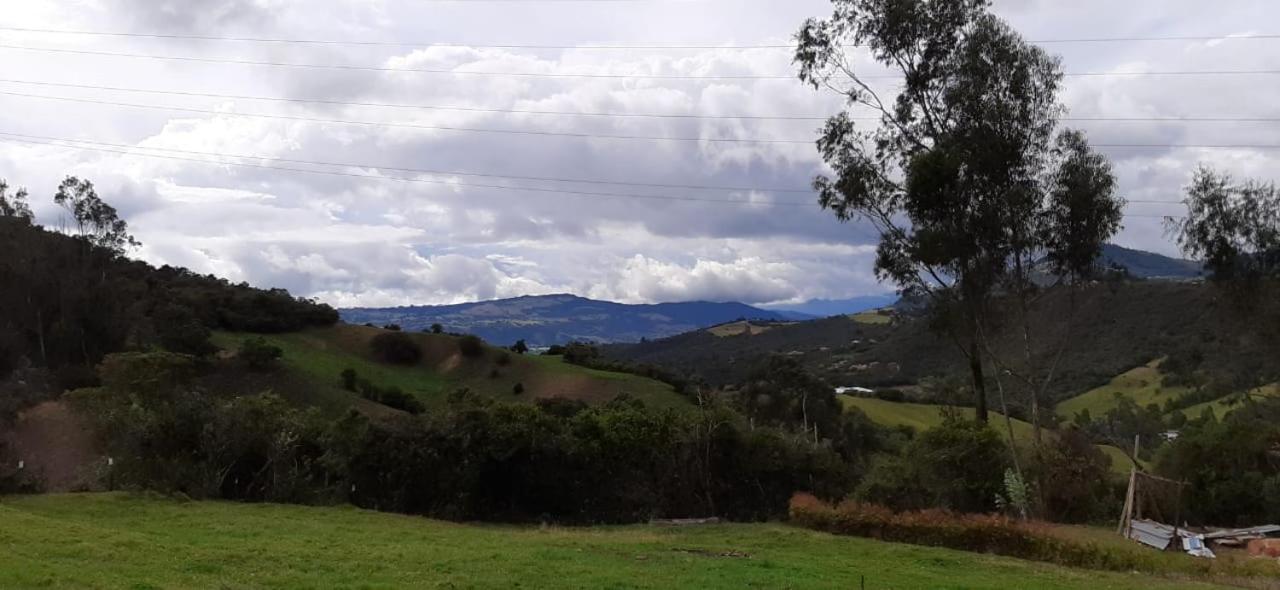 Animals Glamping view 4