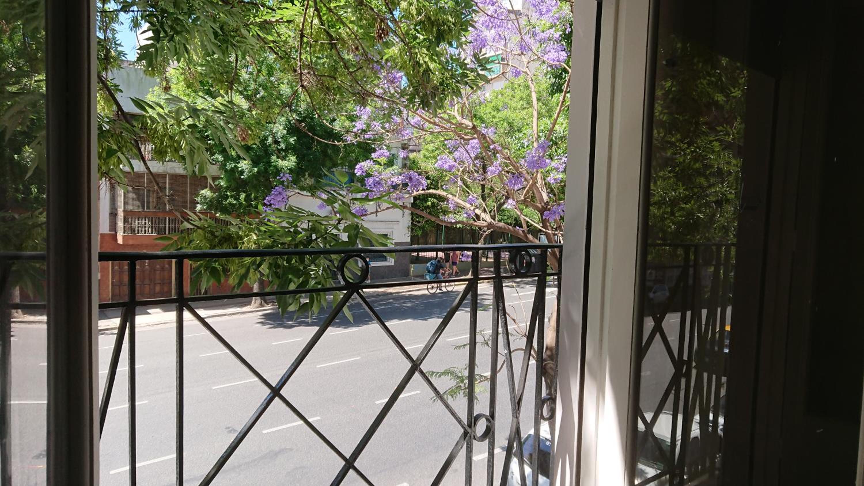 534 Petit San Telmo - Studio & Suites