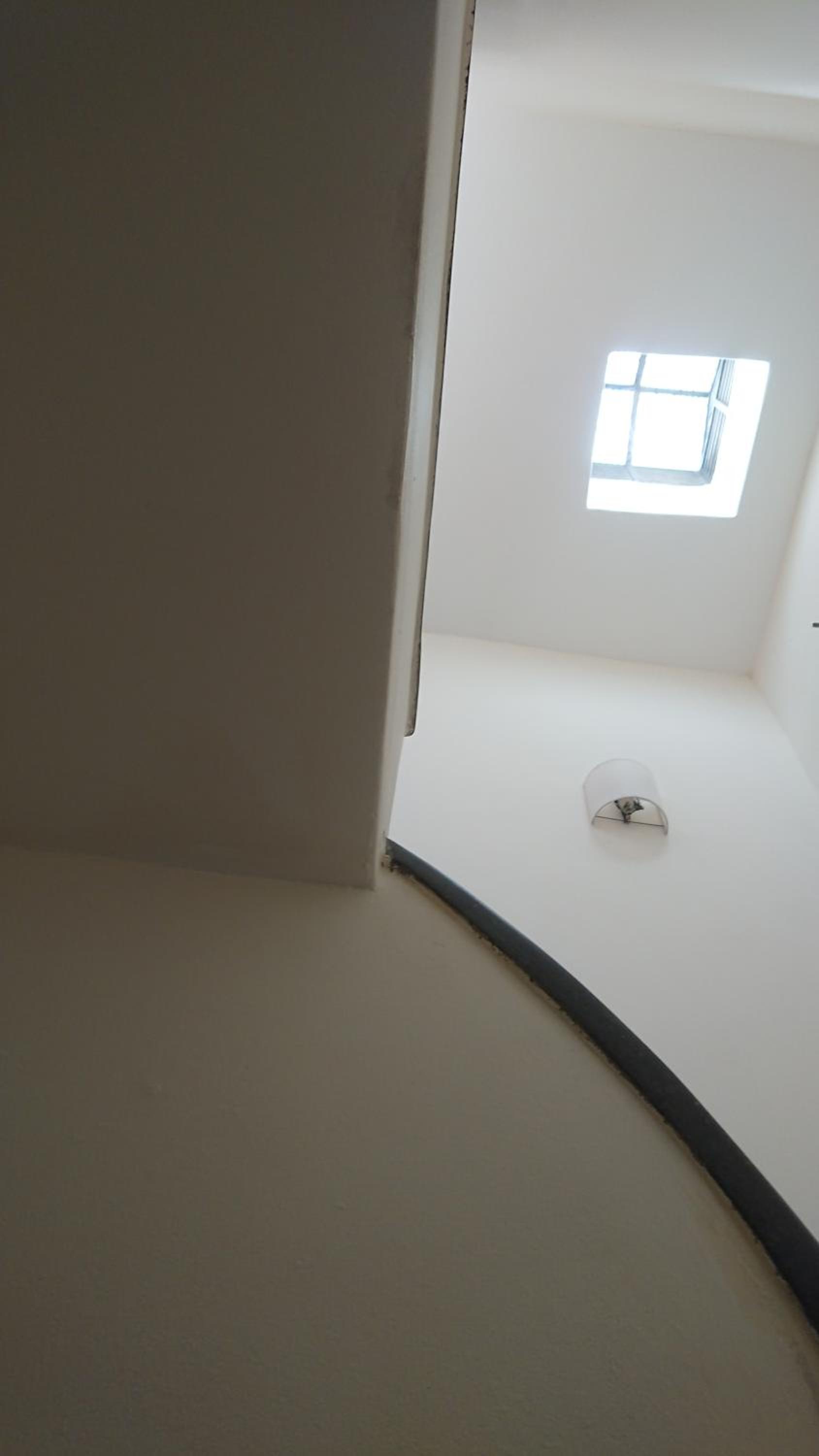 534 Petit San Telmo - Studio & Suites